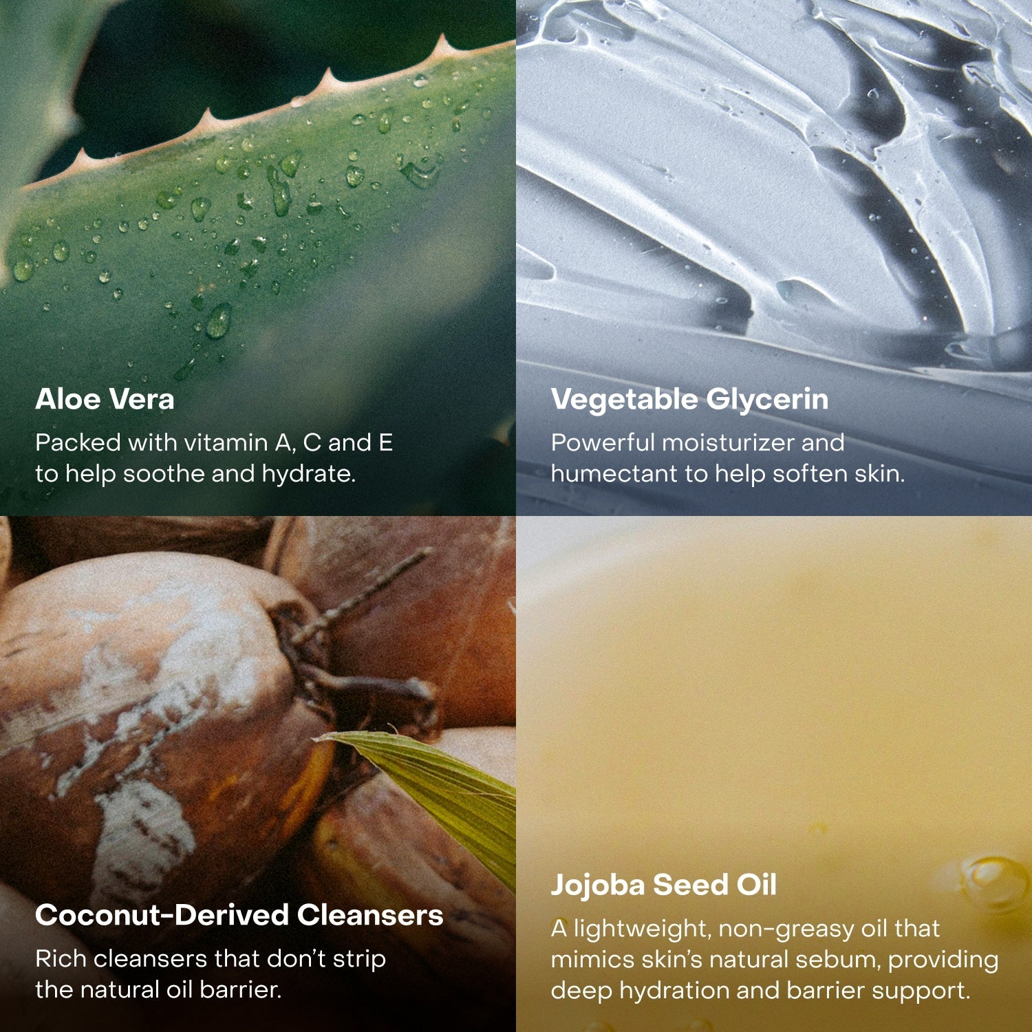 The Fragrance-Free Body Wash Concentrate