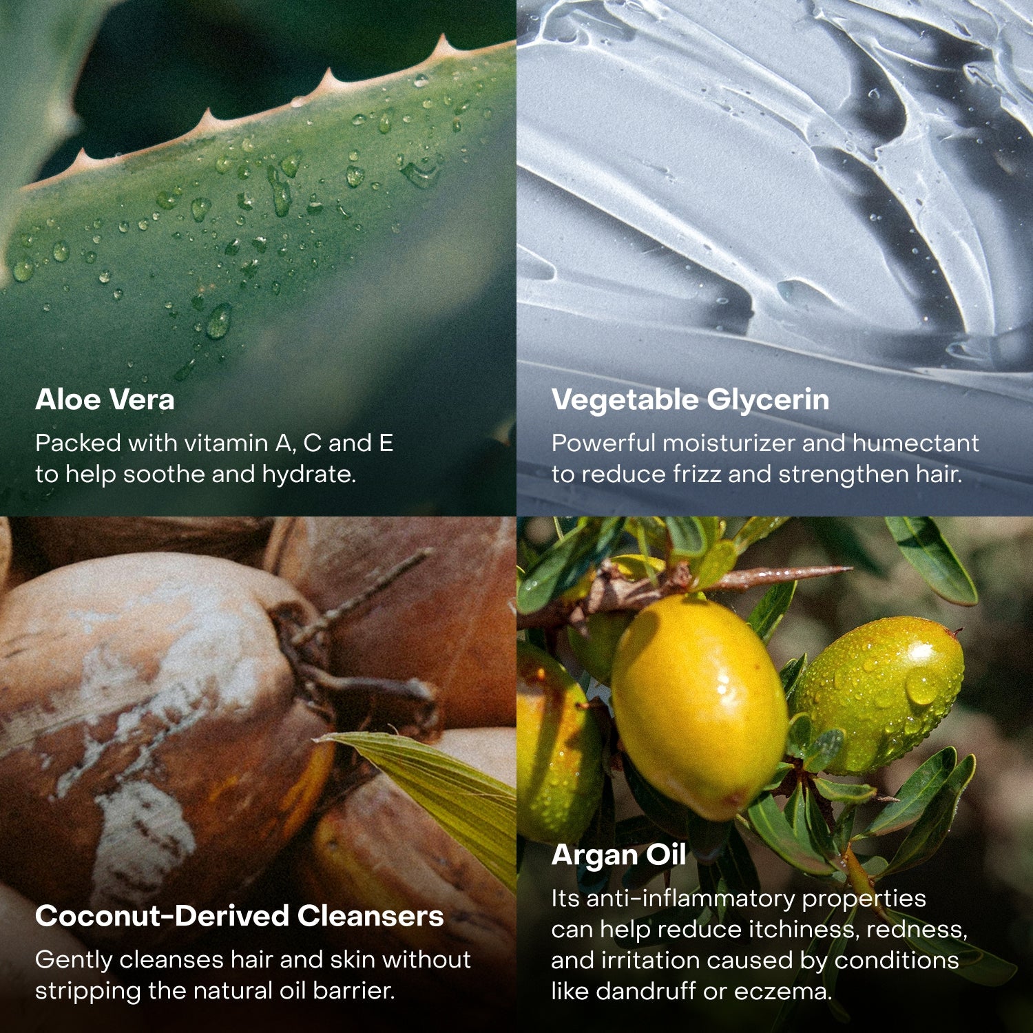 The Fragrance-Free Shampoo Concentrate Mini