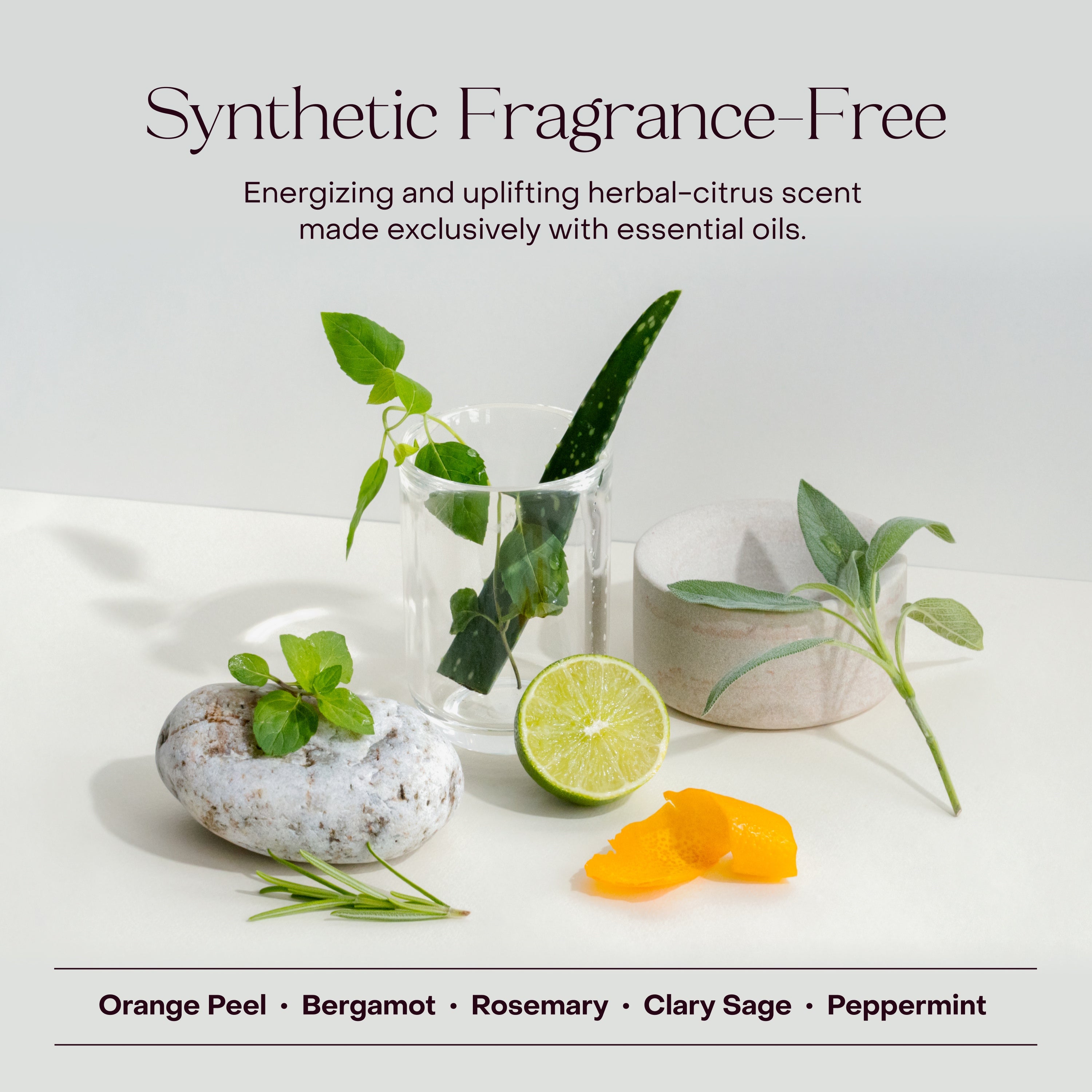 The Exfoliating Body Wash Concentrate