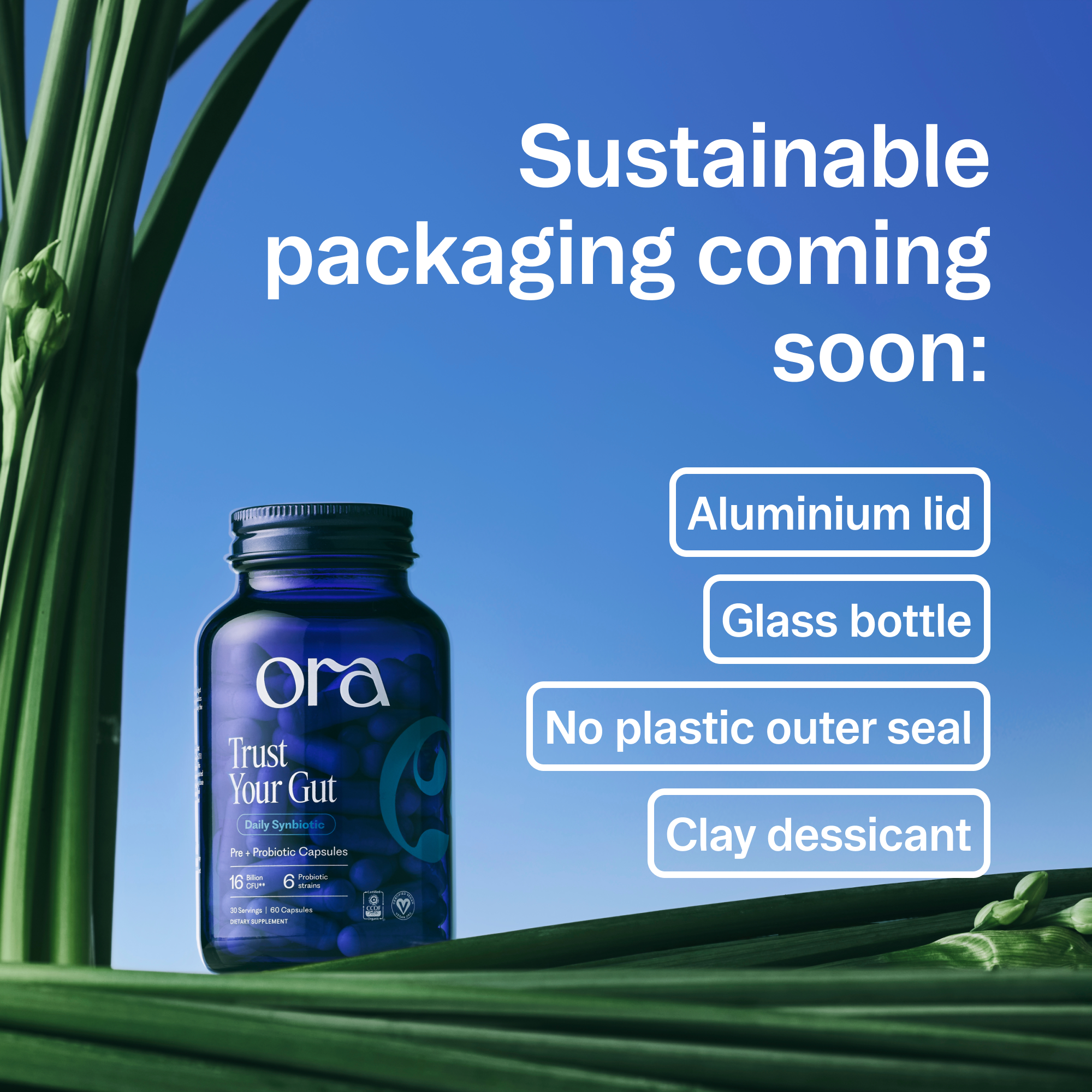 High Potency Probiotic