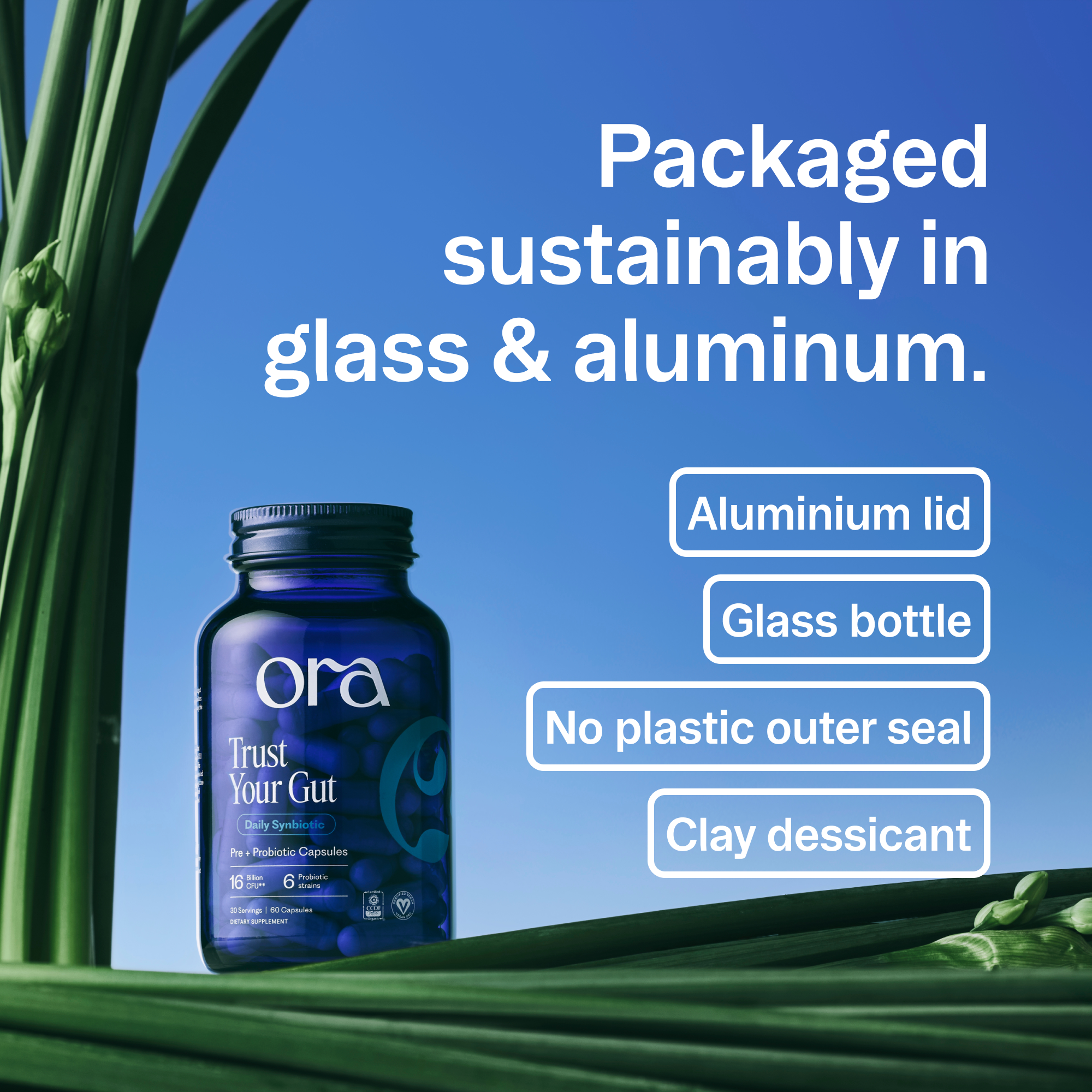 Probiotic + Prebiotic Daily Essential