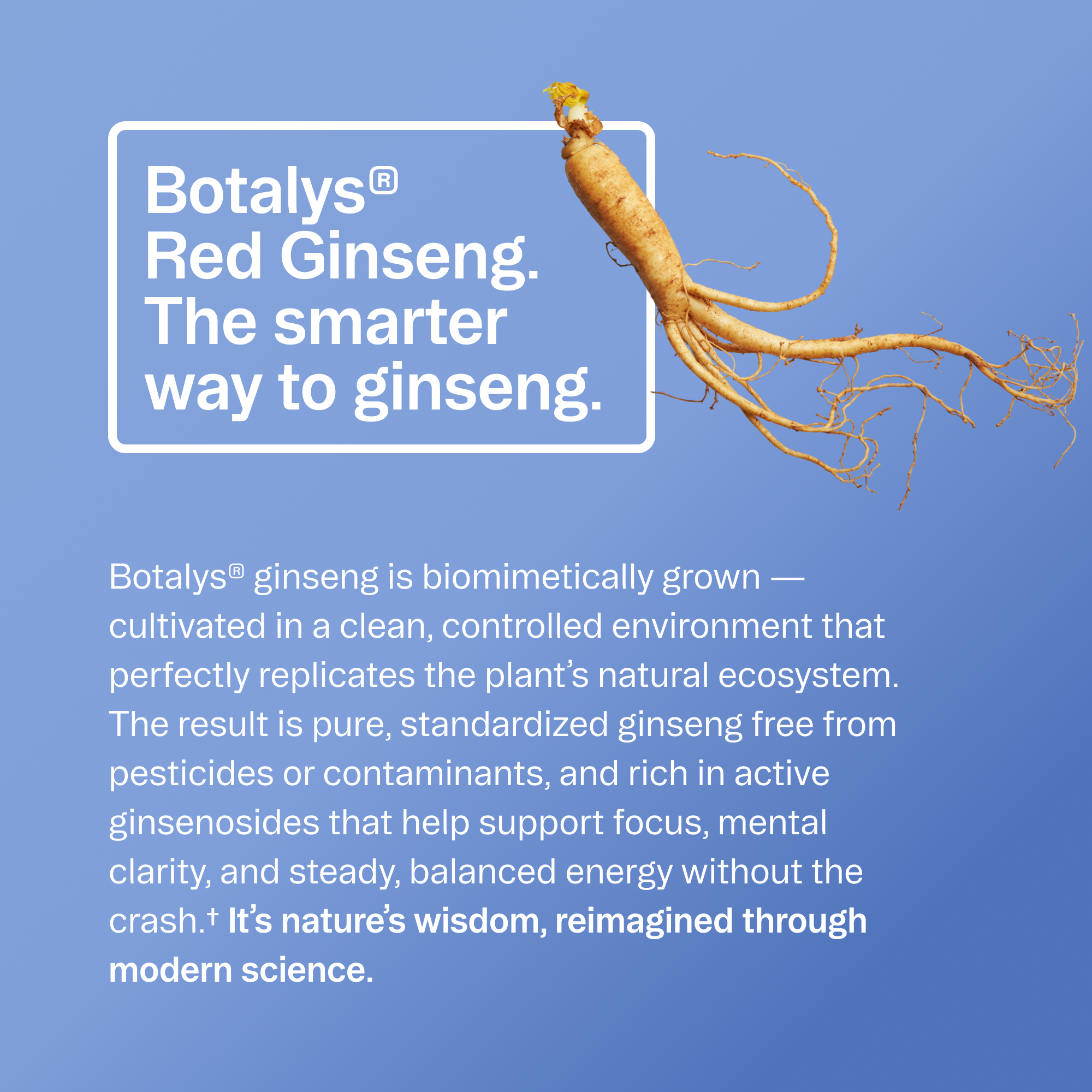 Advanced Nootropic Formula