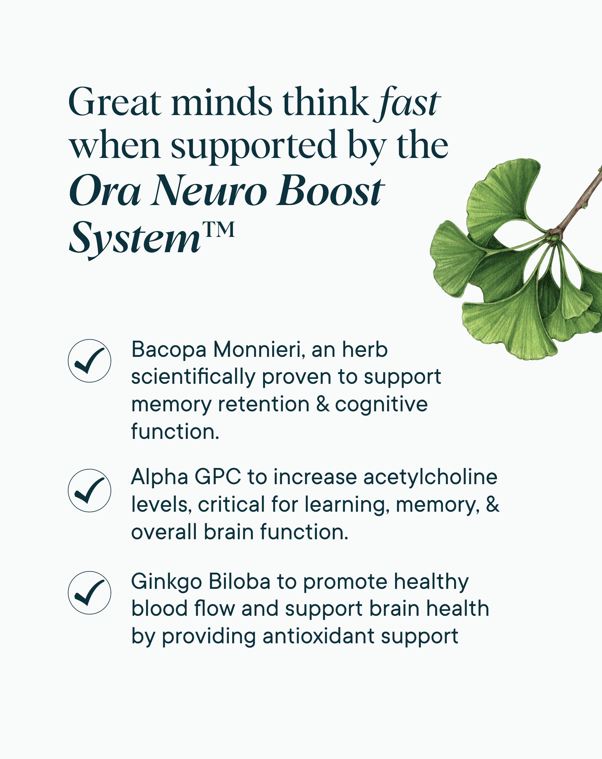 Cognitive Support