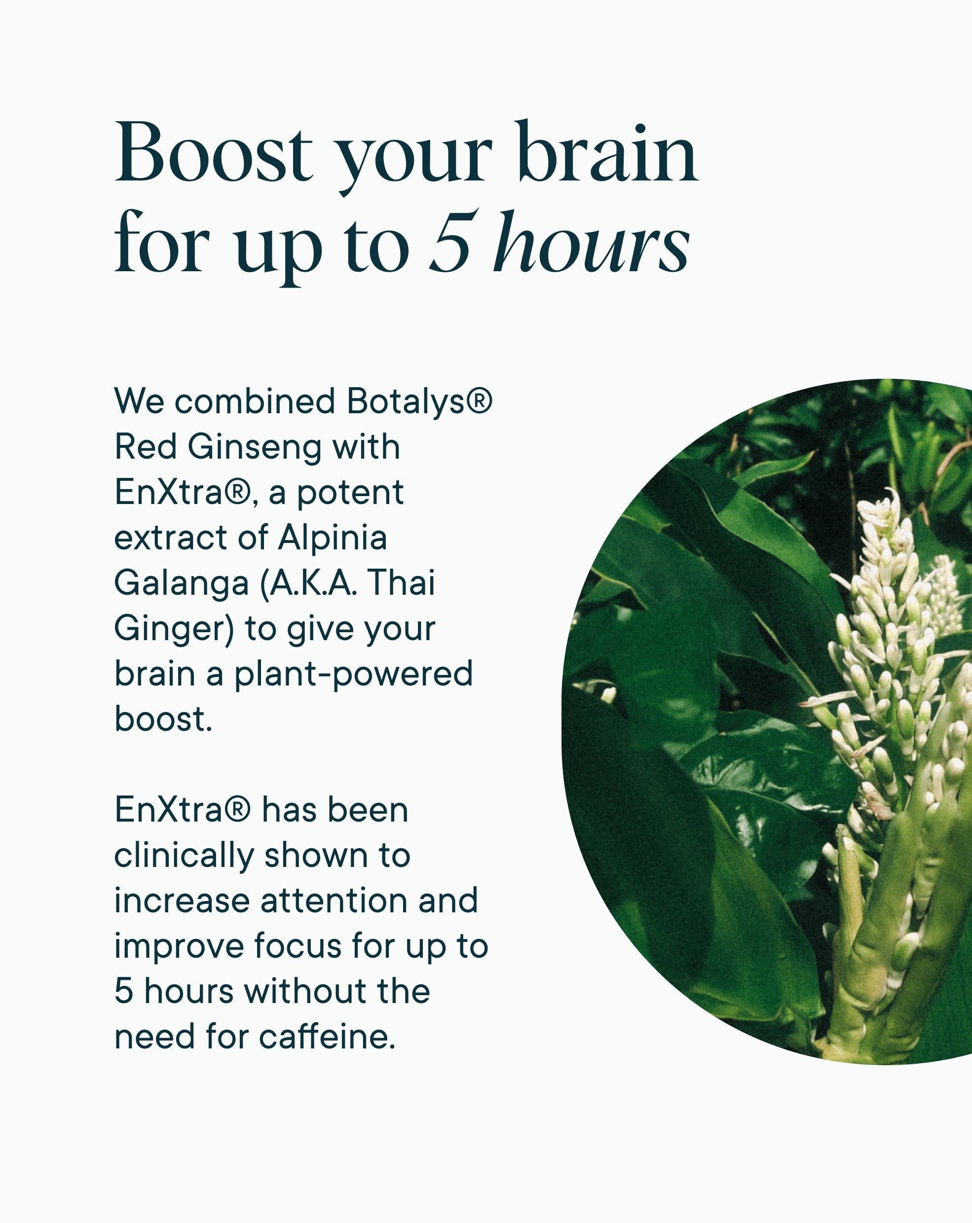 Cognitive Support