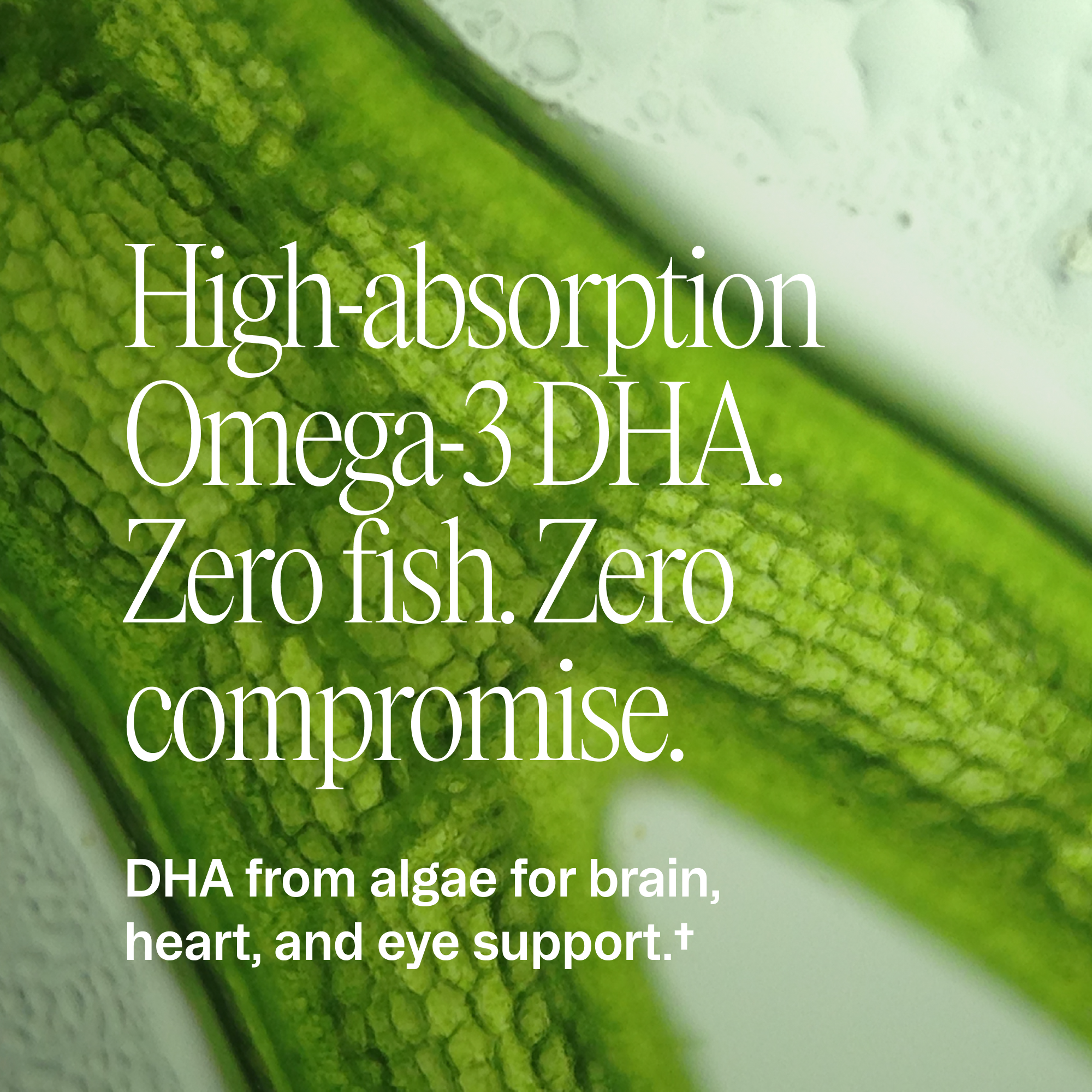 Plant-based DHA Omega-3