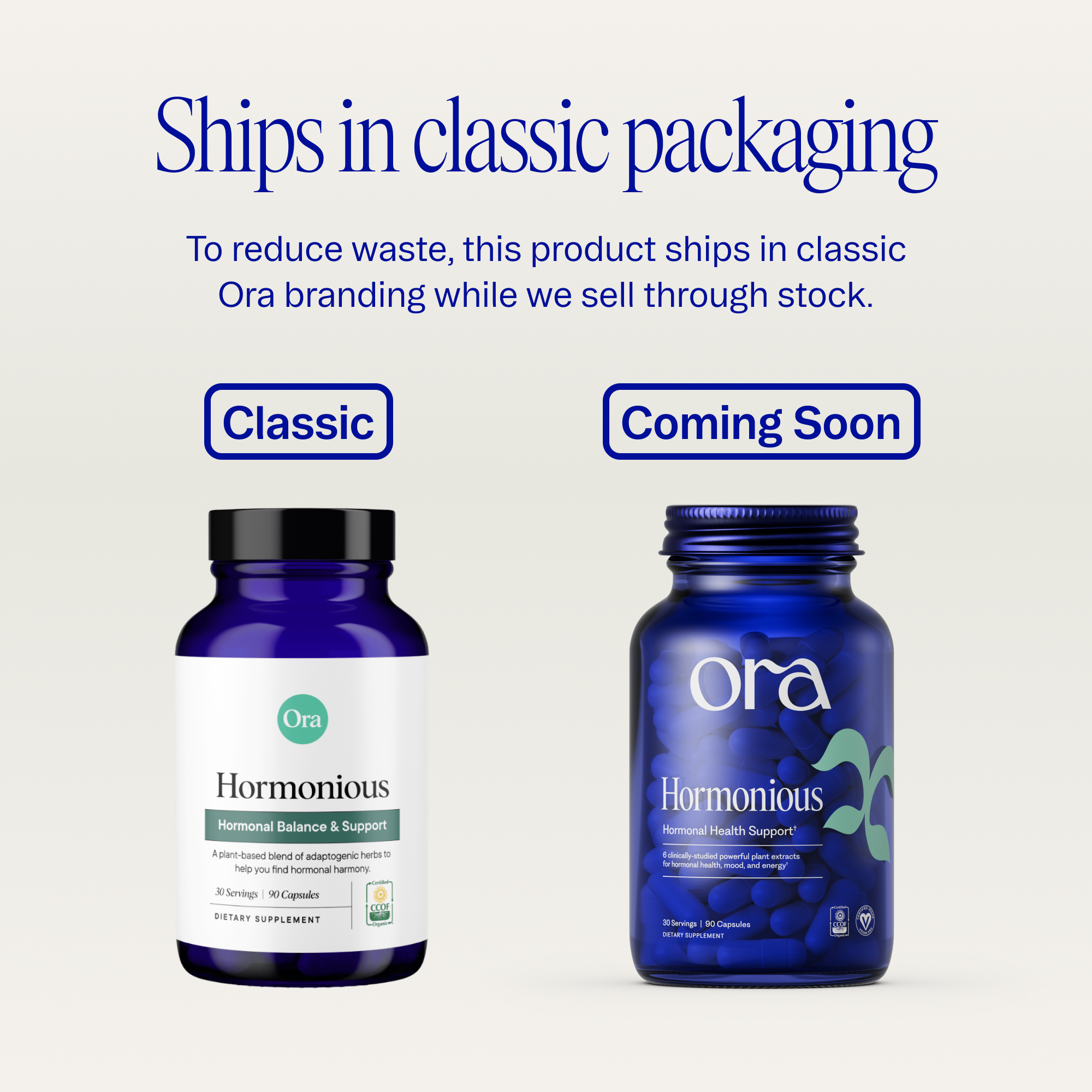 Hormonal Balance & Support Capsules