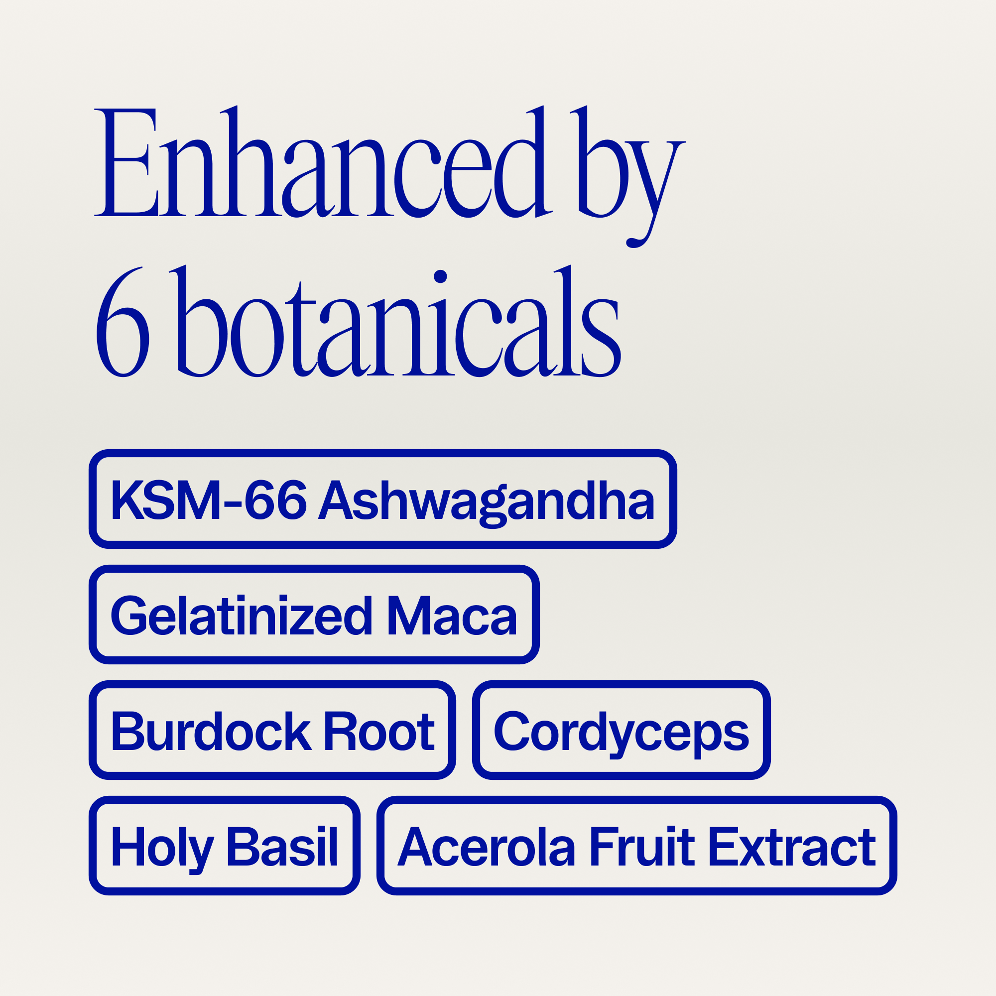 Hormonal Balance & Support Capsules