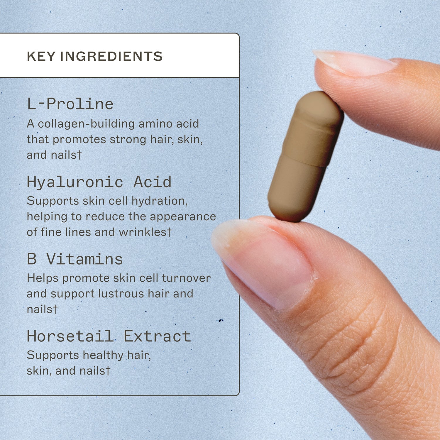 Hair Skin and Nails by Amy Myers MD