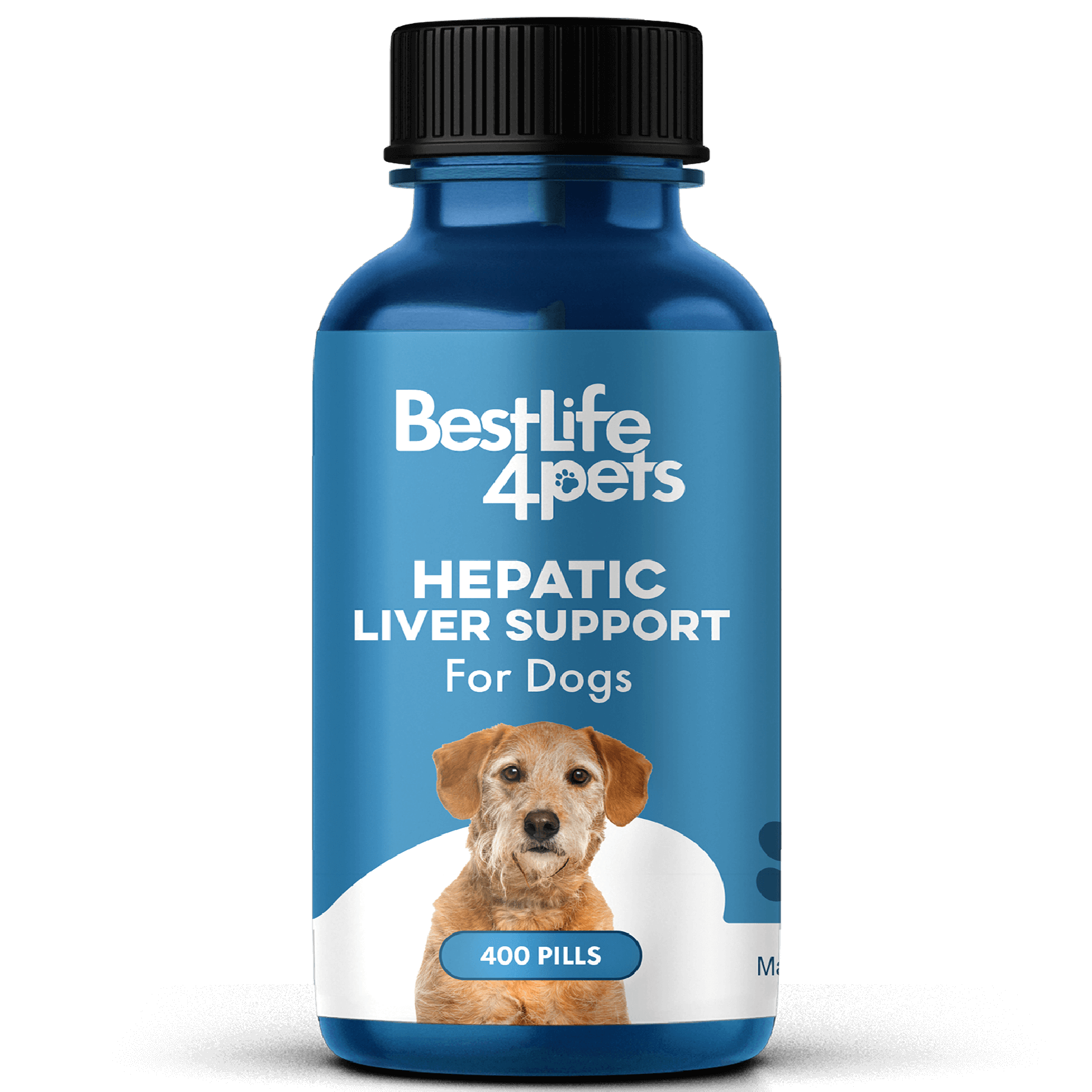 Natural Hepatic Dog Liver Support Tablets by BestLife4Pets