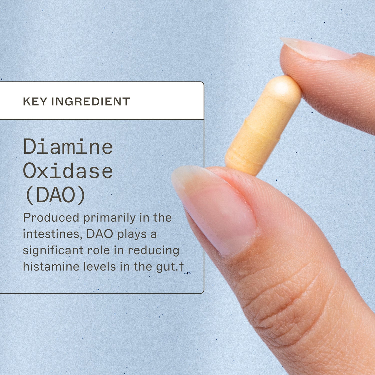 Histazyme by Amy Myers MD