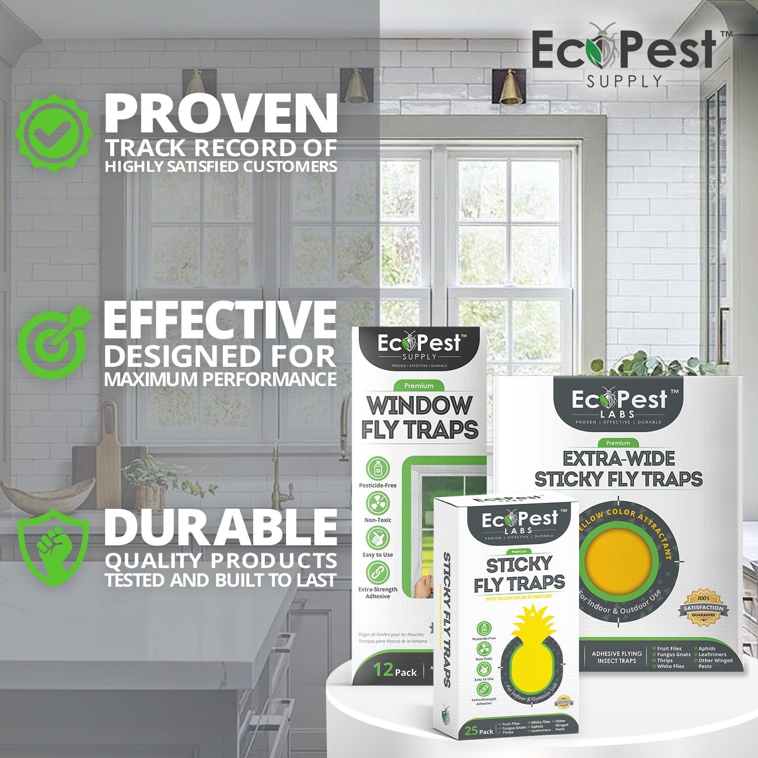 Window Fly Traps – 25 Pack | Transparent Sticky Fly Trap for Windows by EcoPest Supply