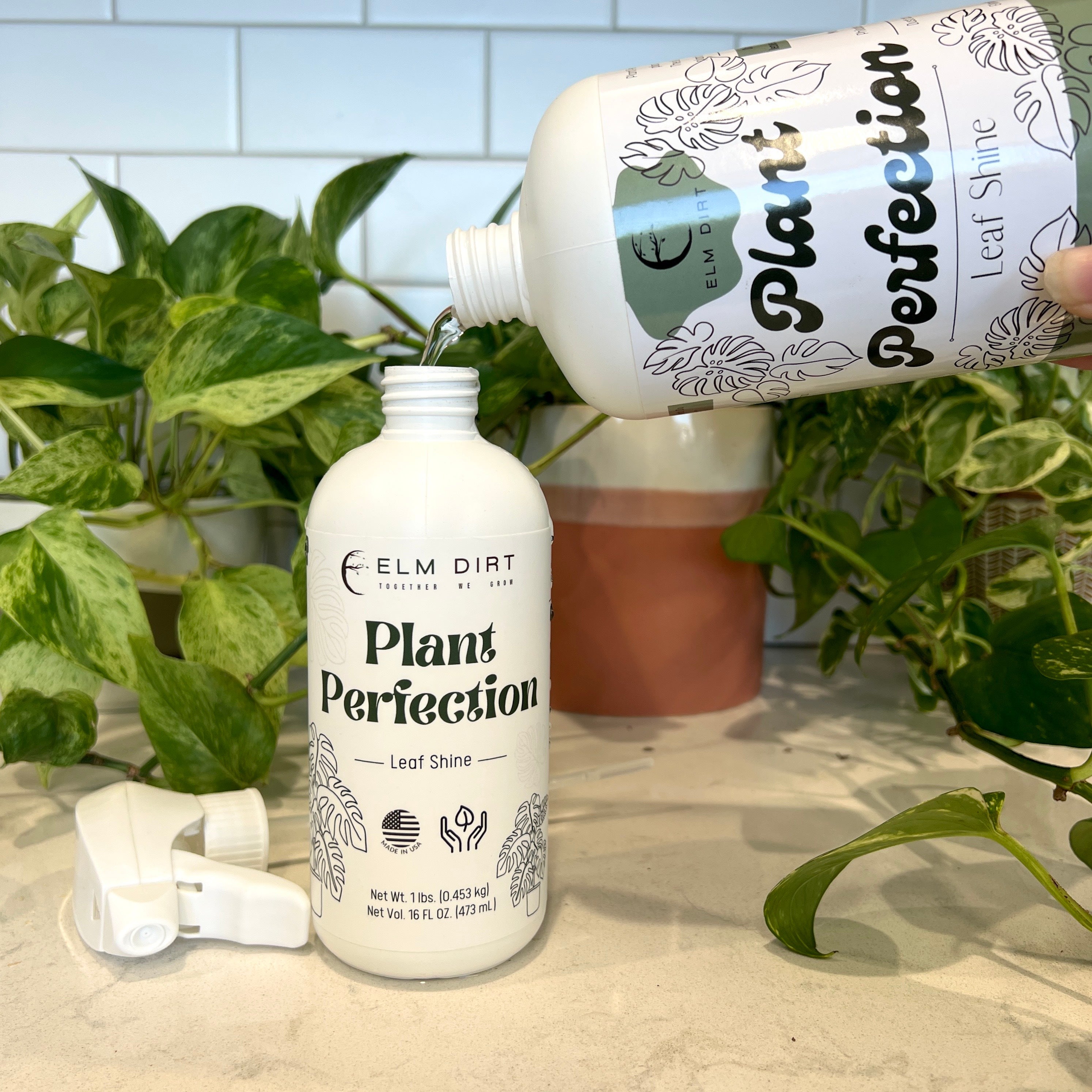 Plant Perfection by Elm Dirt