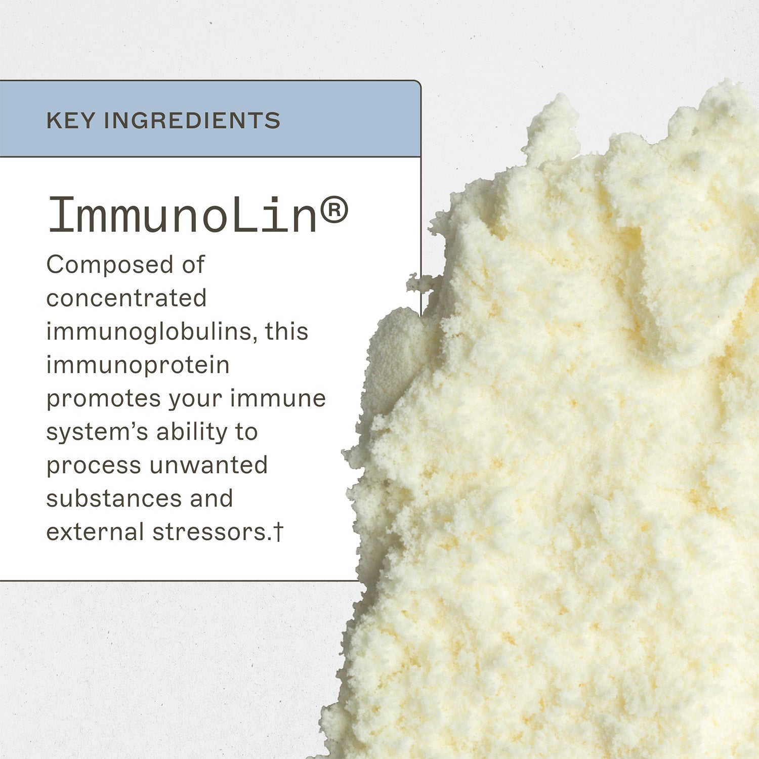 ImmuneIG by Amy Myers MD