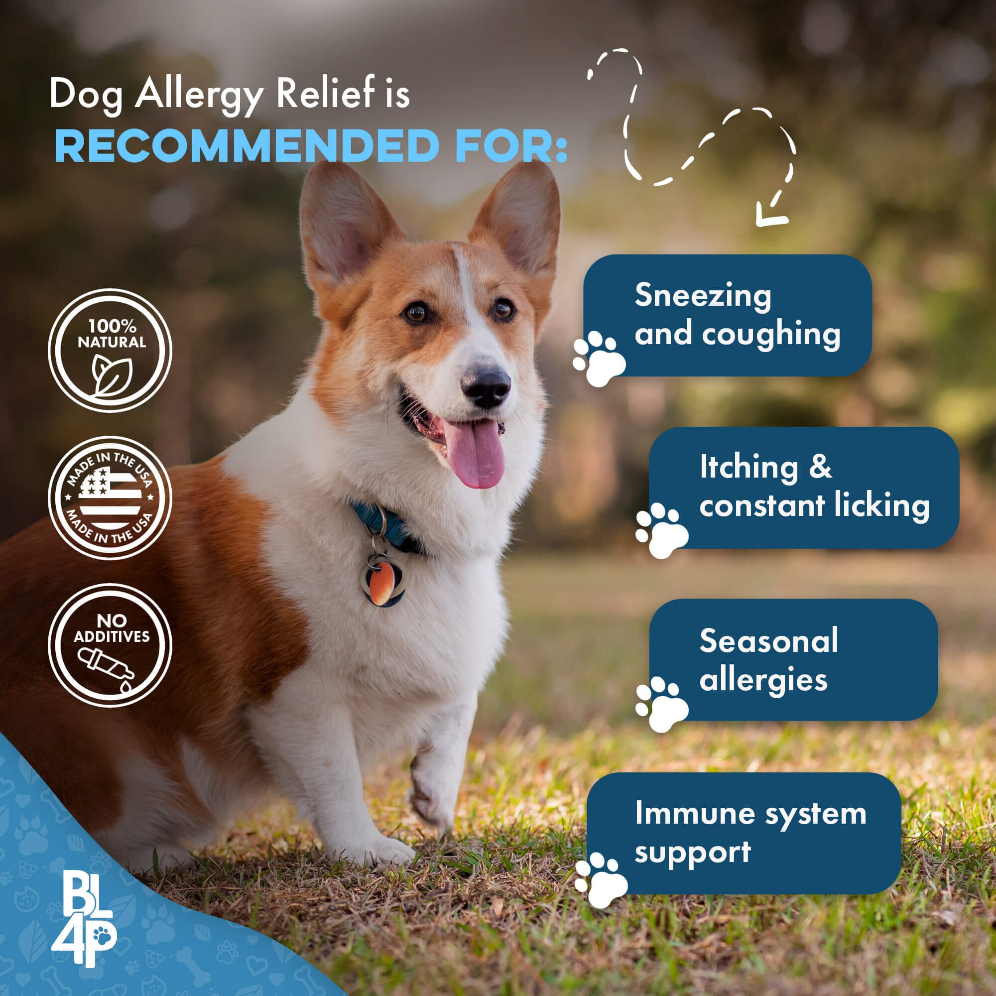 Dog Allergy & Immune Support Supplement by BestLife4Pets