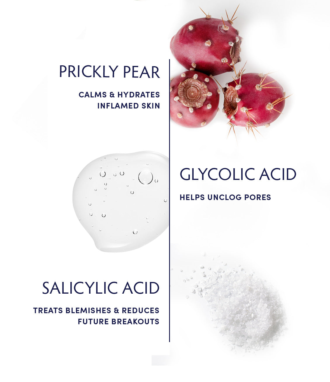 Prickly Pear & Salicylic Acid Acne Clearing Tonic by Naturopathica