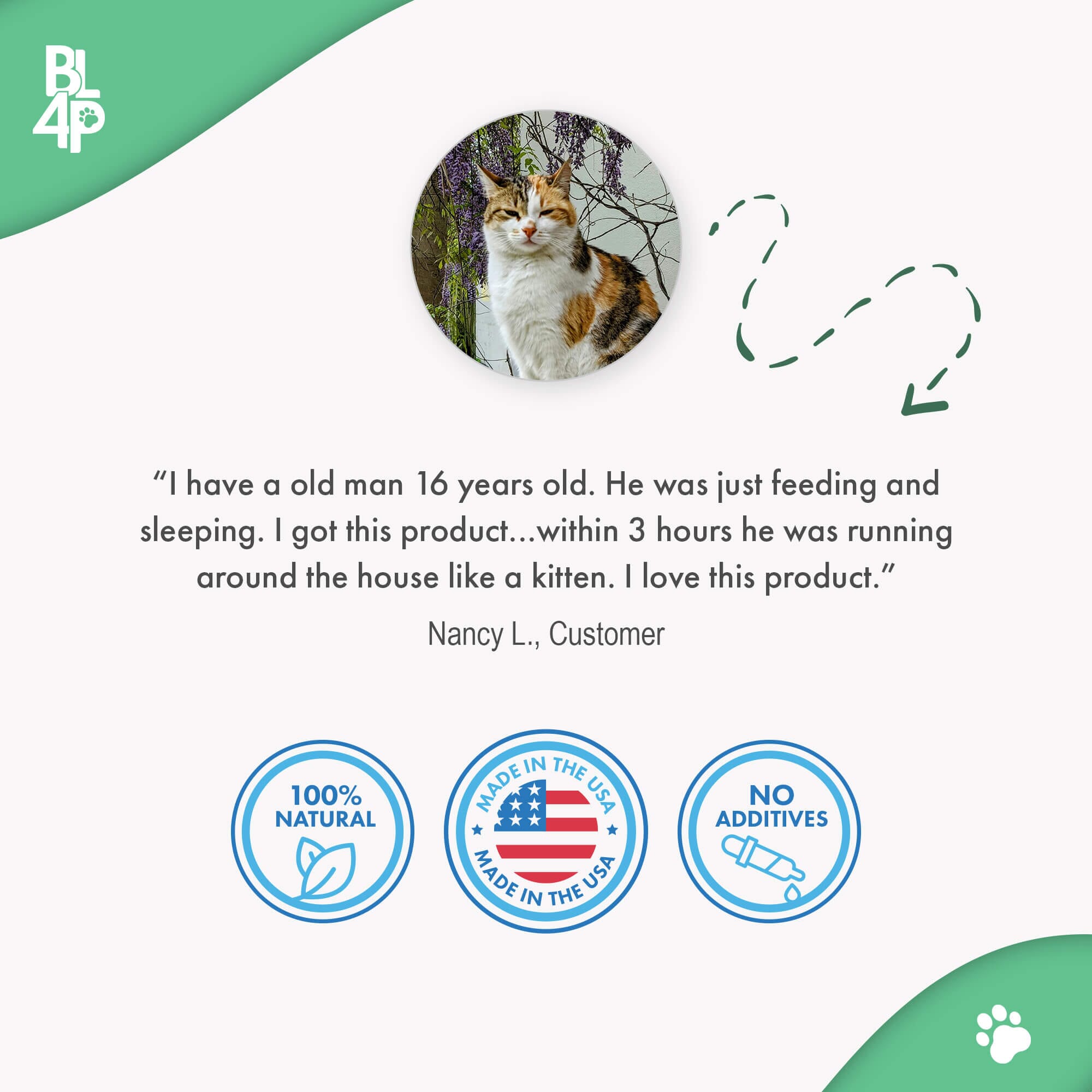 Cat Arthritis & Joint Pain Relief - Effective Anti-inflammatory by BestLife4Pets