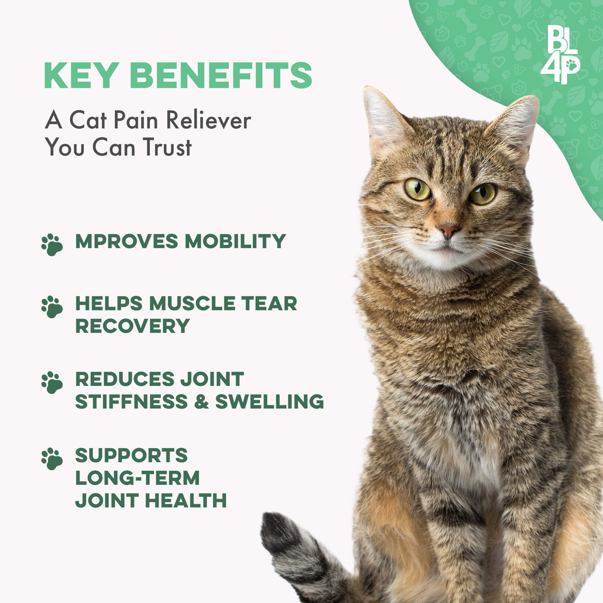 Cat Arthritis & Joint Pain Relief - Effective Anti-inflammatory by BestLife4Pets