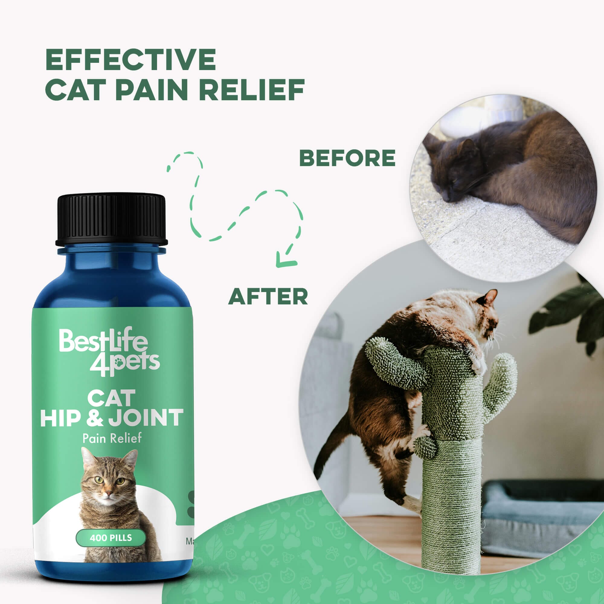 Cat Arthritis & Joint Pain Relief - Effective Anti-inflammatory by BestLife4Pets