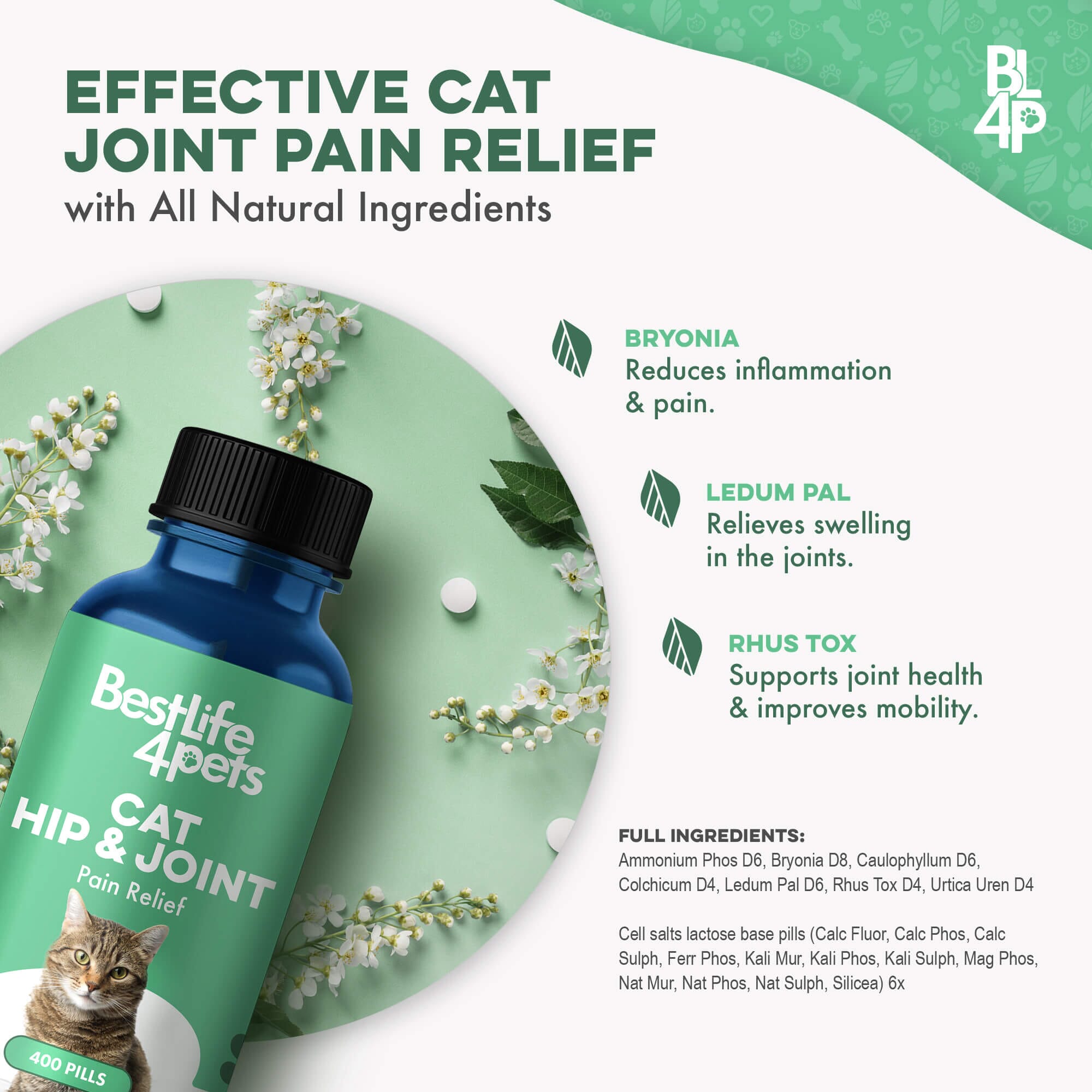 Cat Arthritis & Joint Pain Relief - Effective Anti-inflammatory by BestLife4Pets