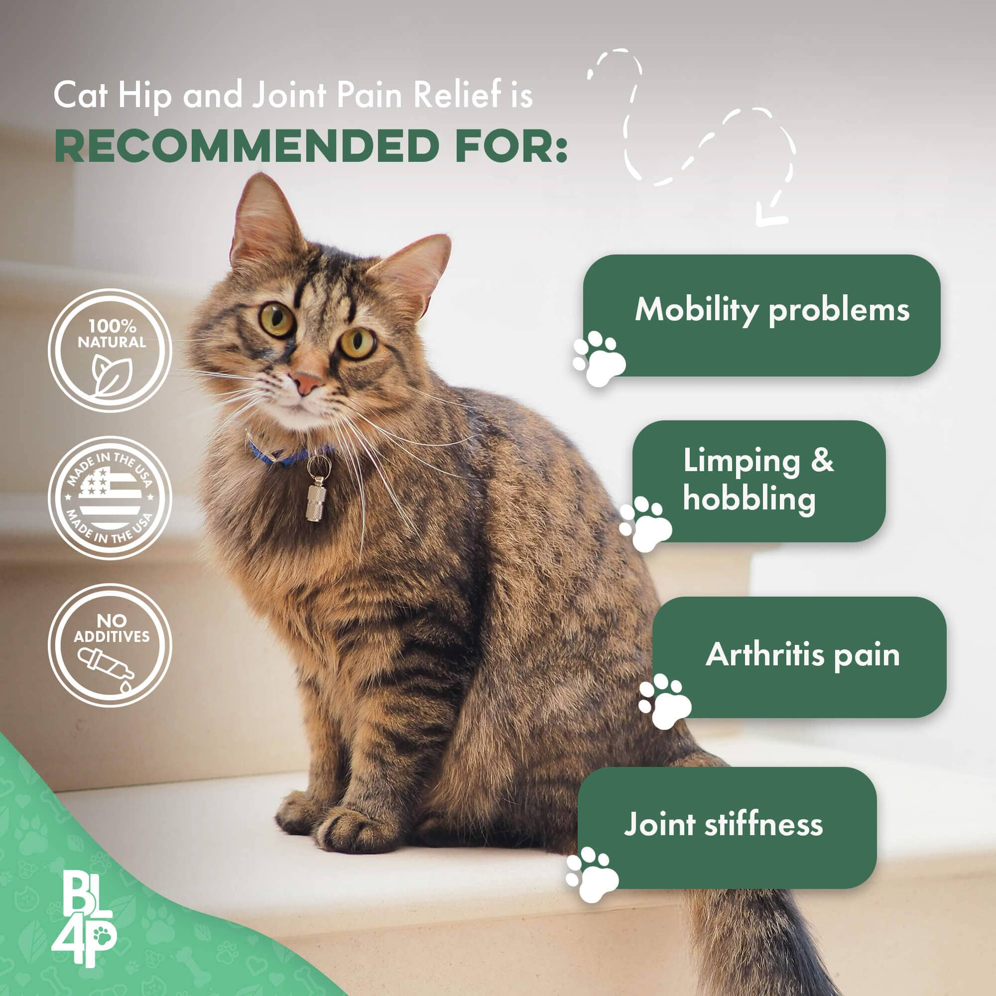 Cat Arthritis & Joint Pain Relief - Effective Anti-inflammatory by BestLife4Pets
