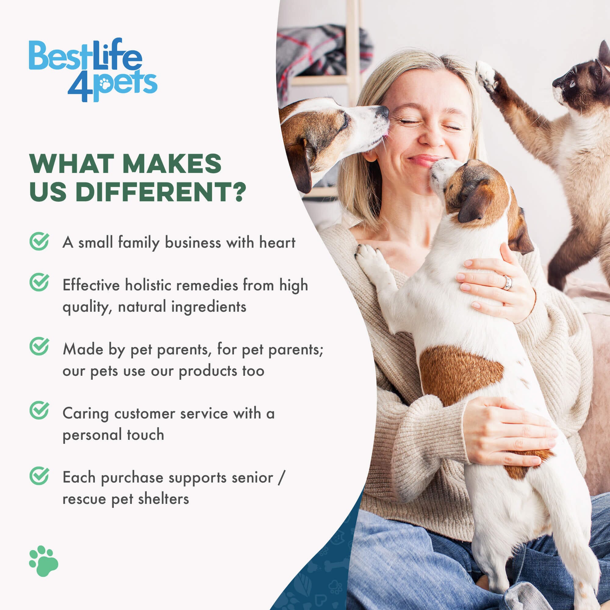 Cat Arthritis & Joint Pain Relief - Effective Anti-inflammatory by BestLife4Pets
