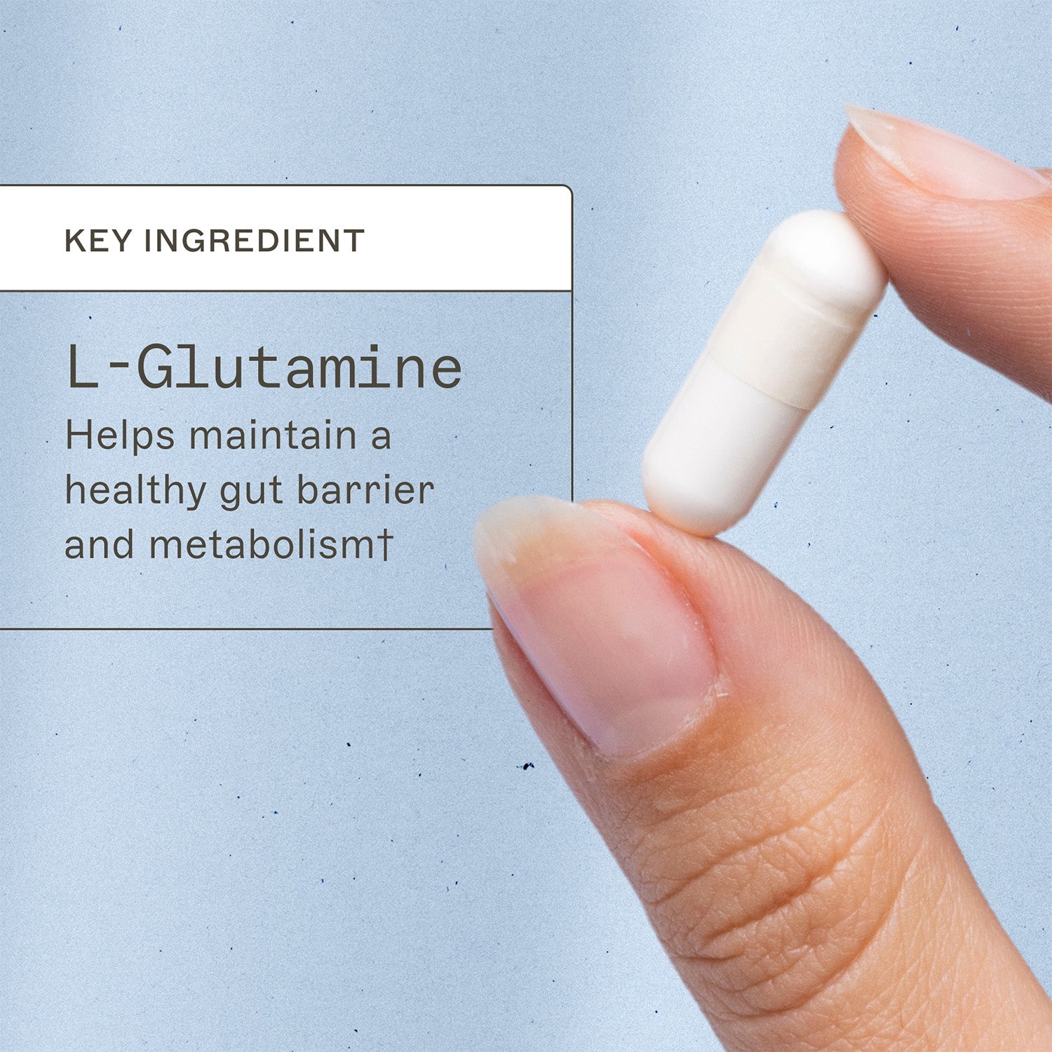 L-Glutamine Capsules by Amy Myers MD