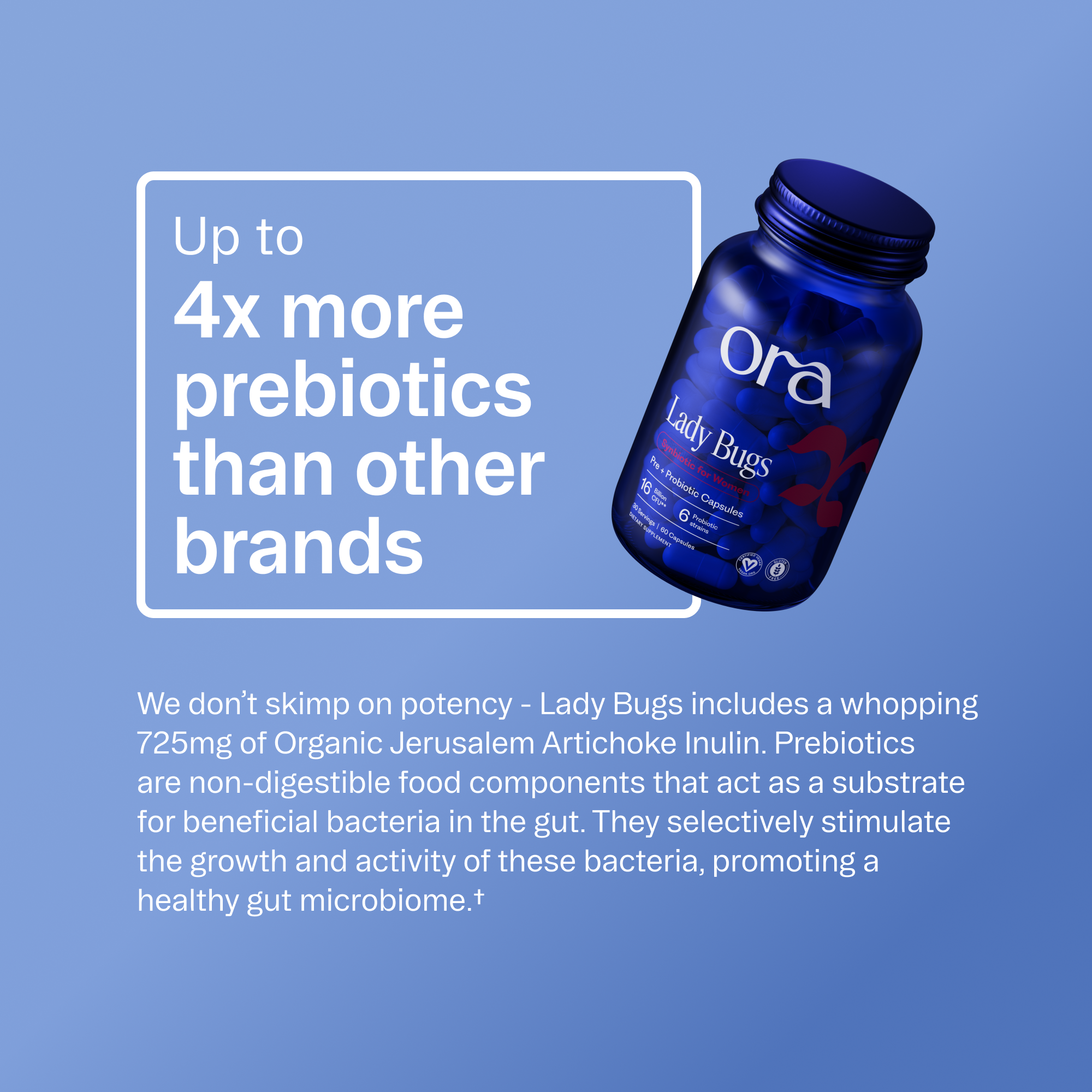 Probiotics for Women