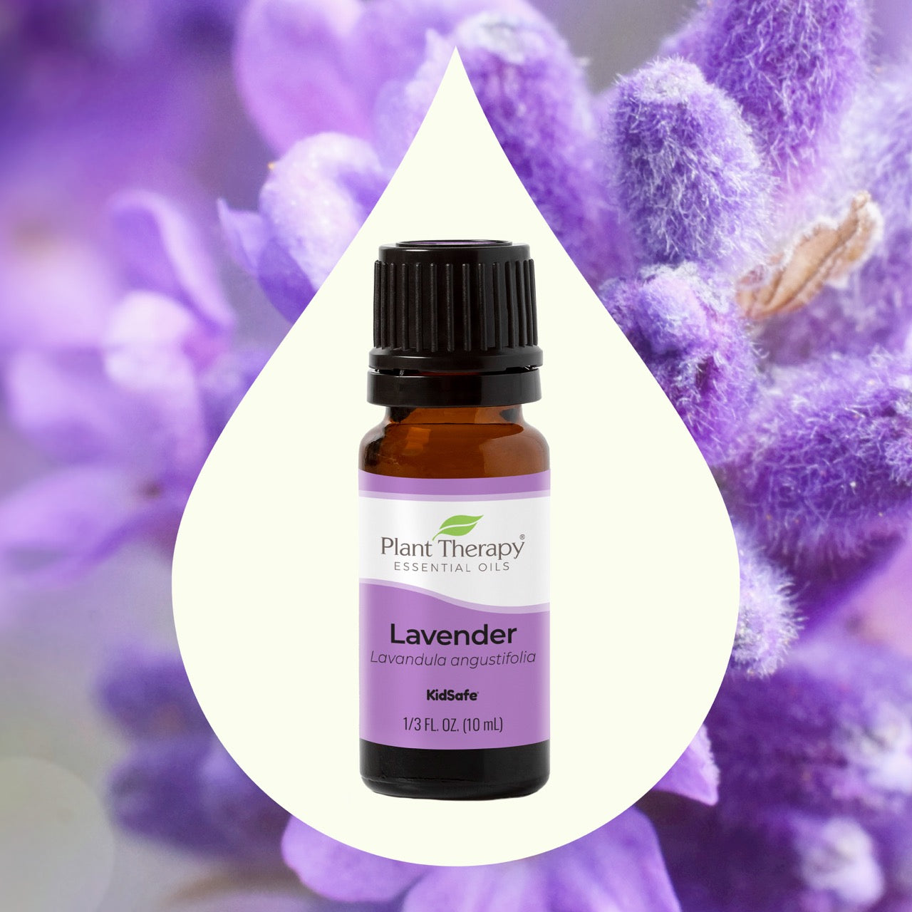 Lavender Essential Oil by Plant Therapy