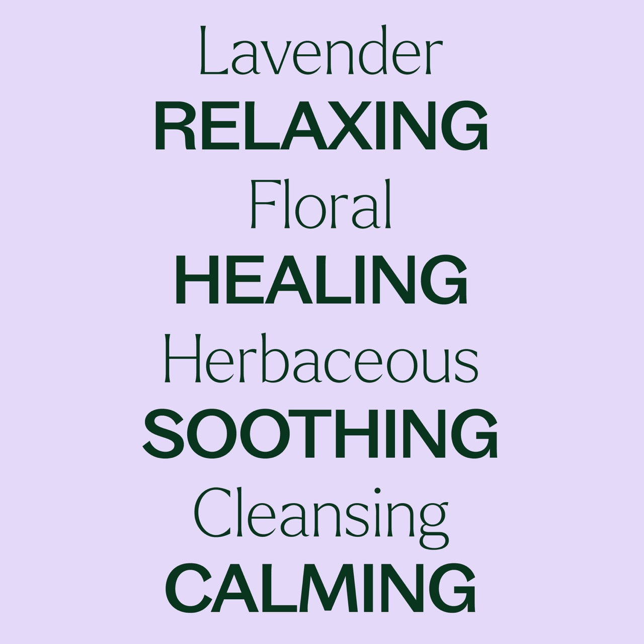 Lavender Essential Oil by Plant Therapy