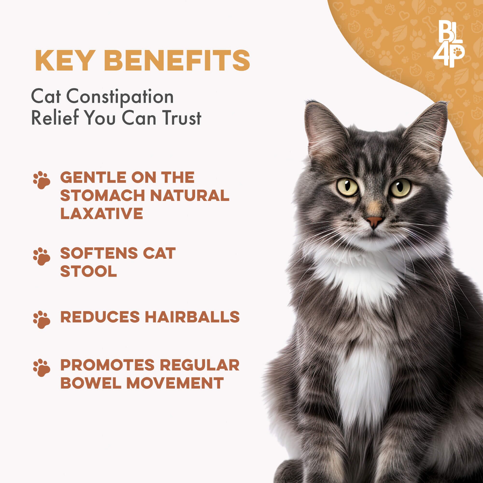 Natural Cat Laxative & Constipation Treatment by BestLife4Pets
