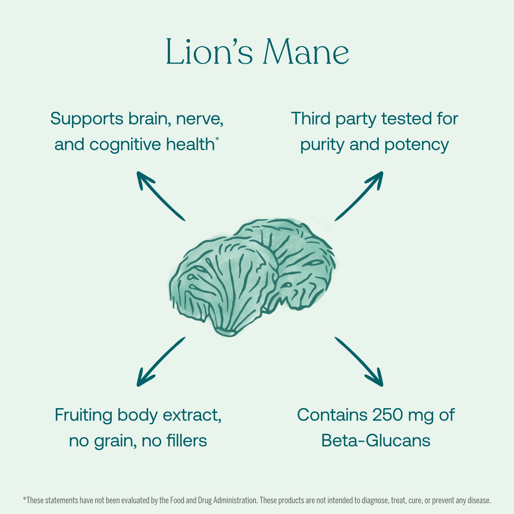 Lion's Mane
