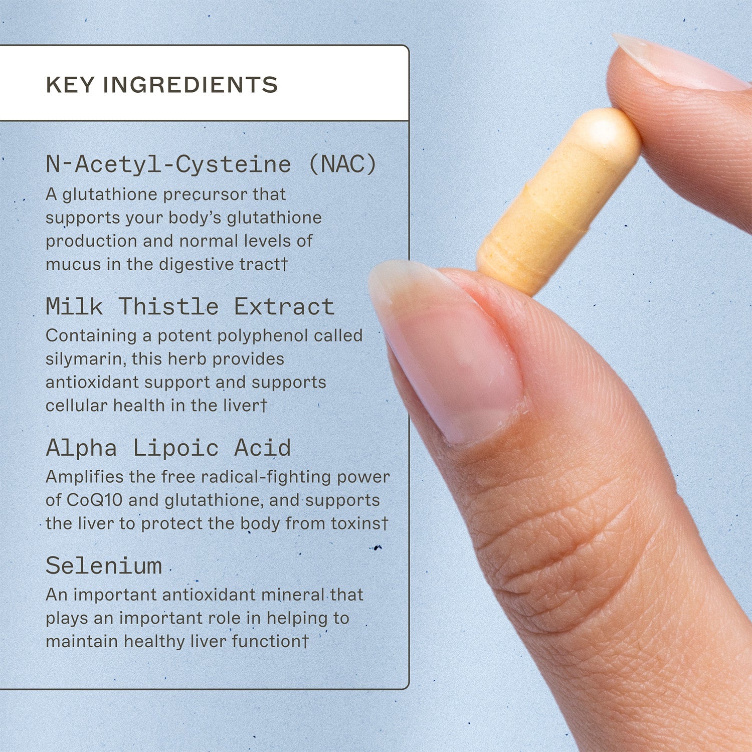 Liver Support by Amy Myers MD