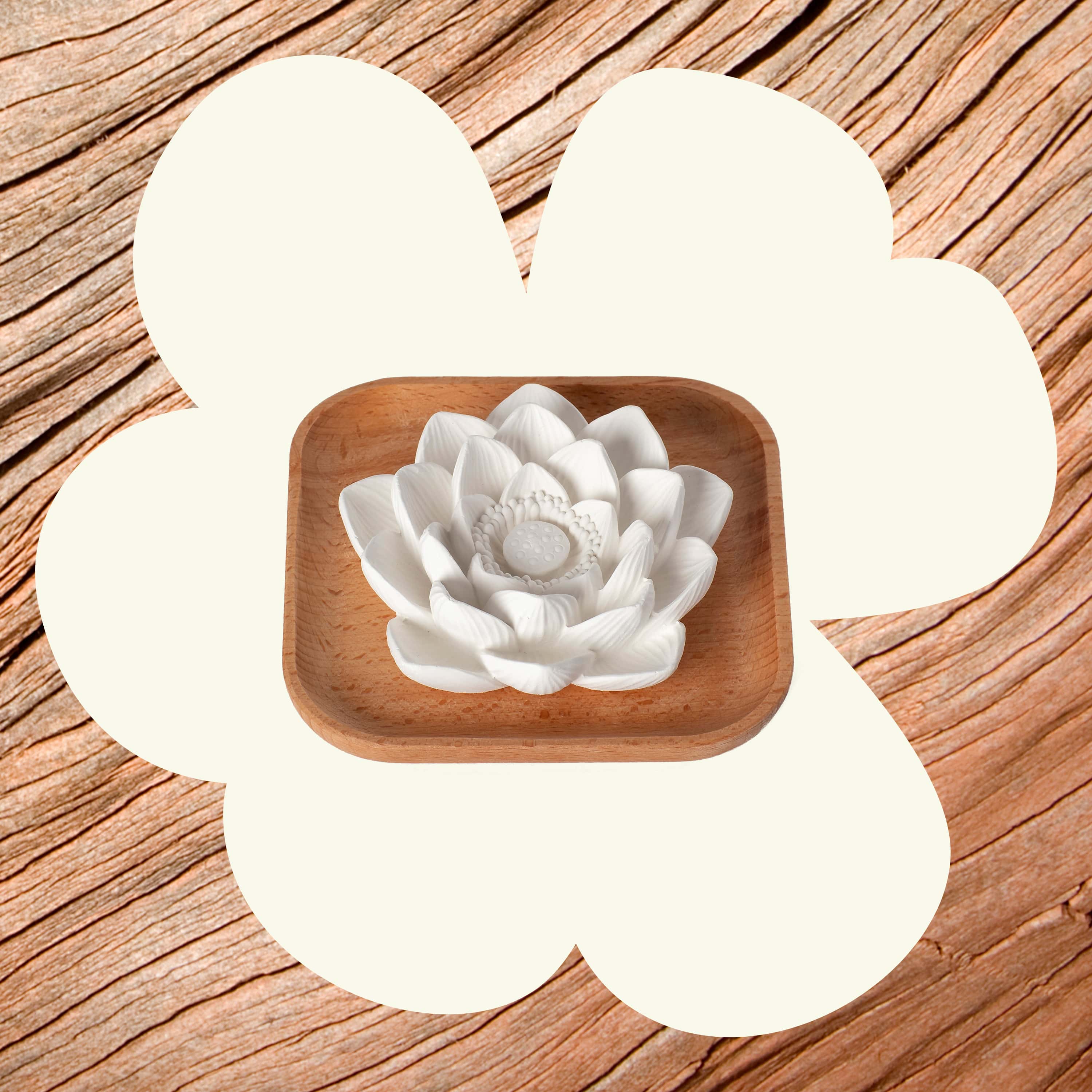 Passive Lotus Diffuser by Plant Therapy