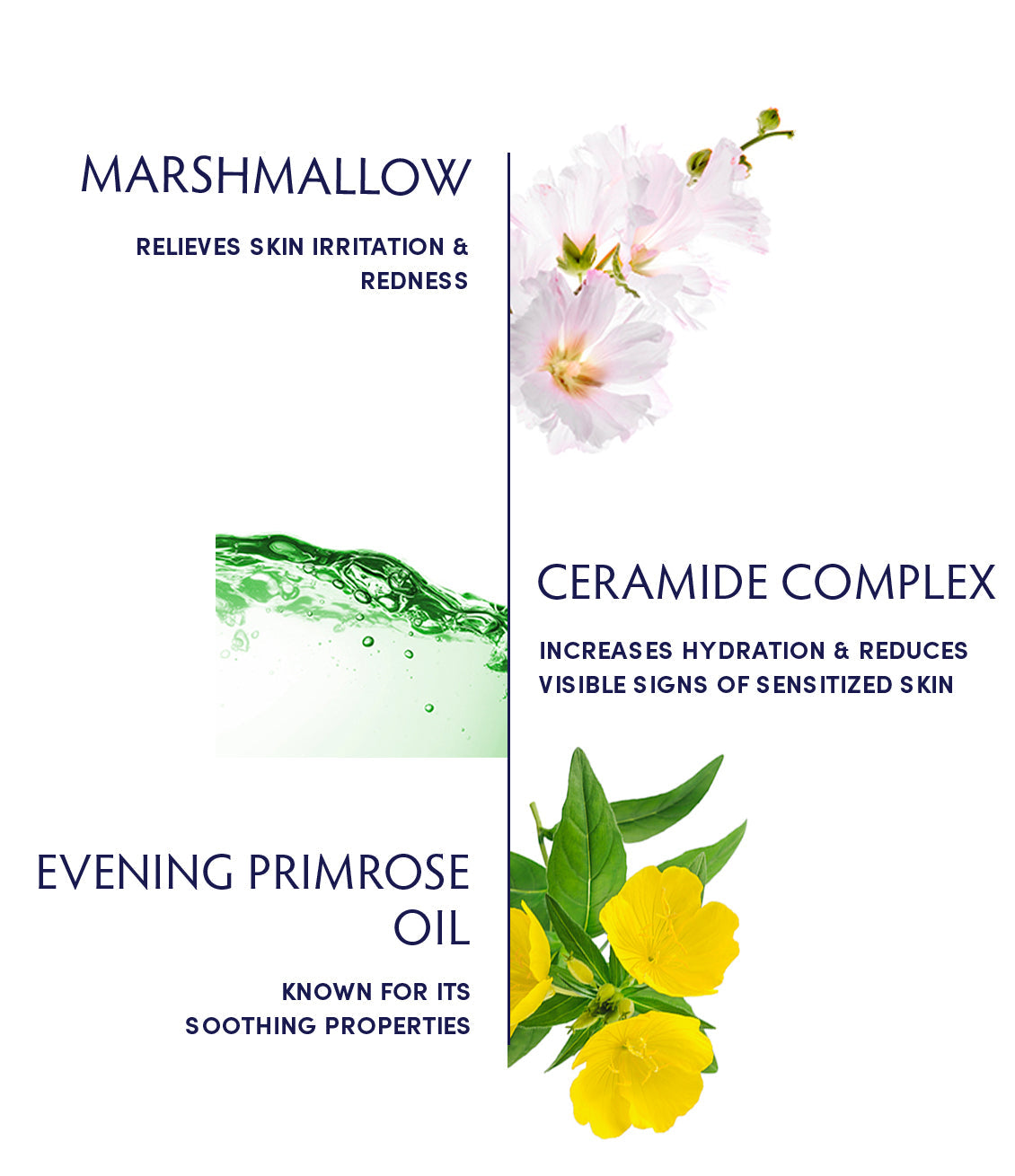 Marshmallow & Ceramide Sensitivity Soothing Serum by Naturopathica