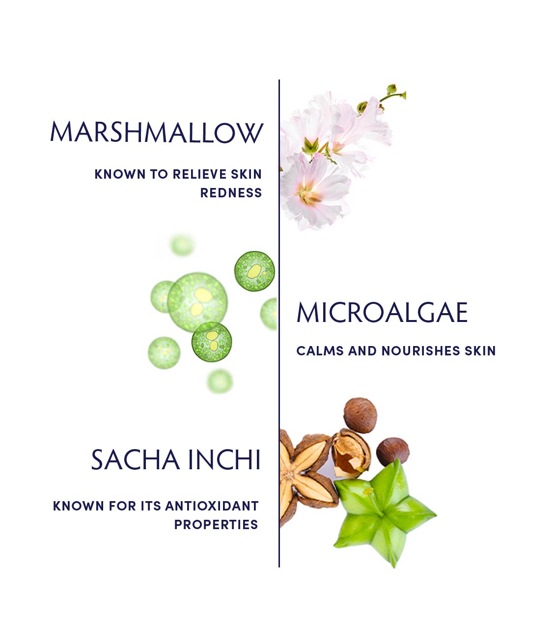 Marshmallow & Microalgae Sensitivity Soothing Crème by Naturopathica