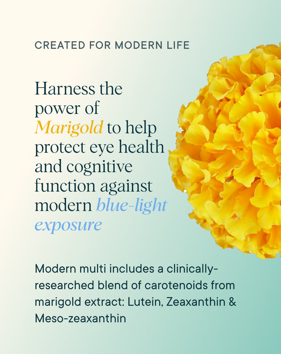 Plant-based Multivitamin