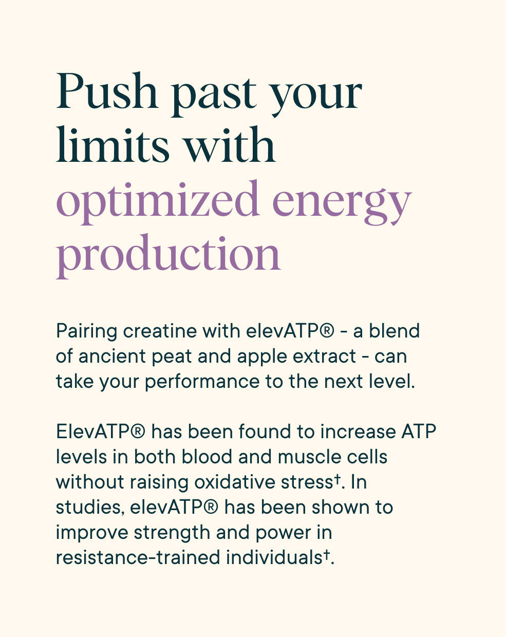 Creatine Powder