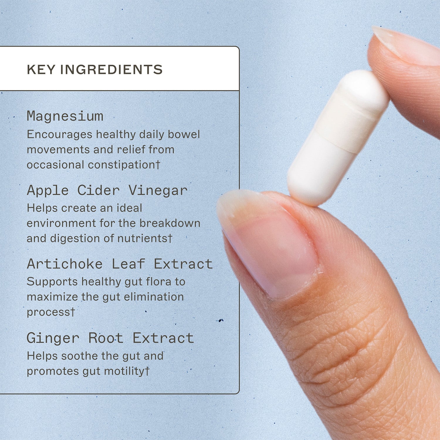 MagMove by Amy Myers MD