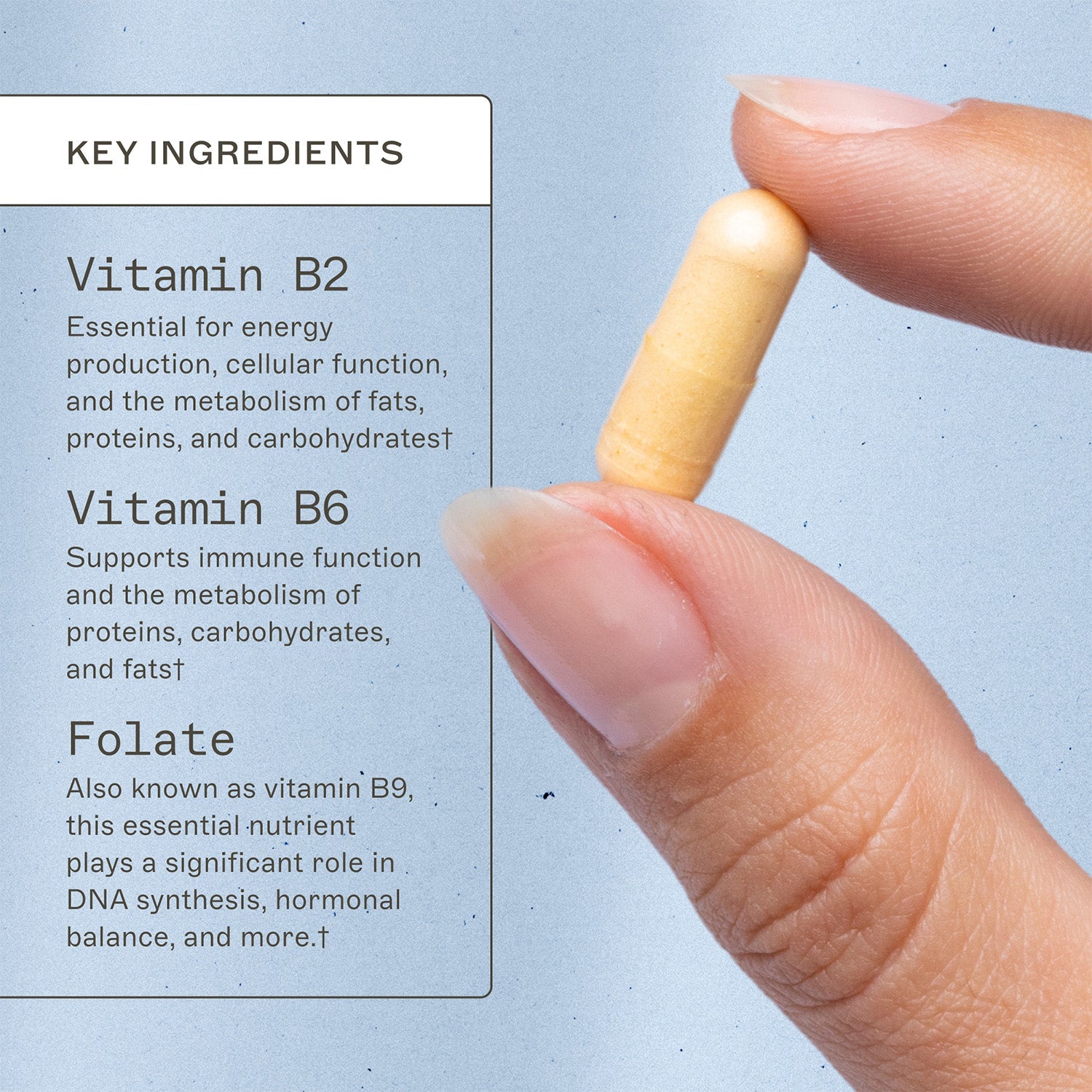 Methylation Support® - MTHFR Supplement by Amy Myers MD