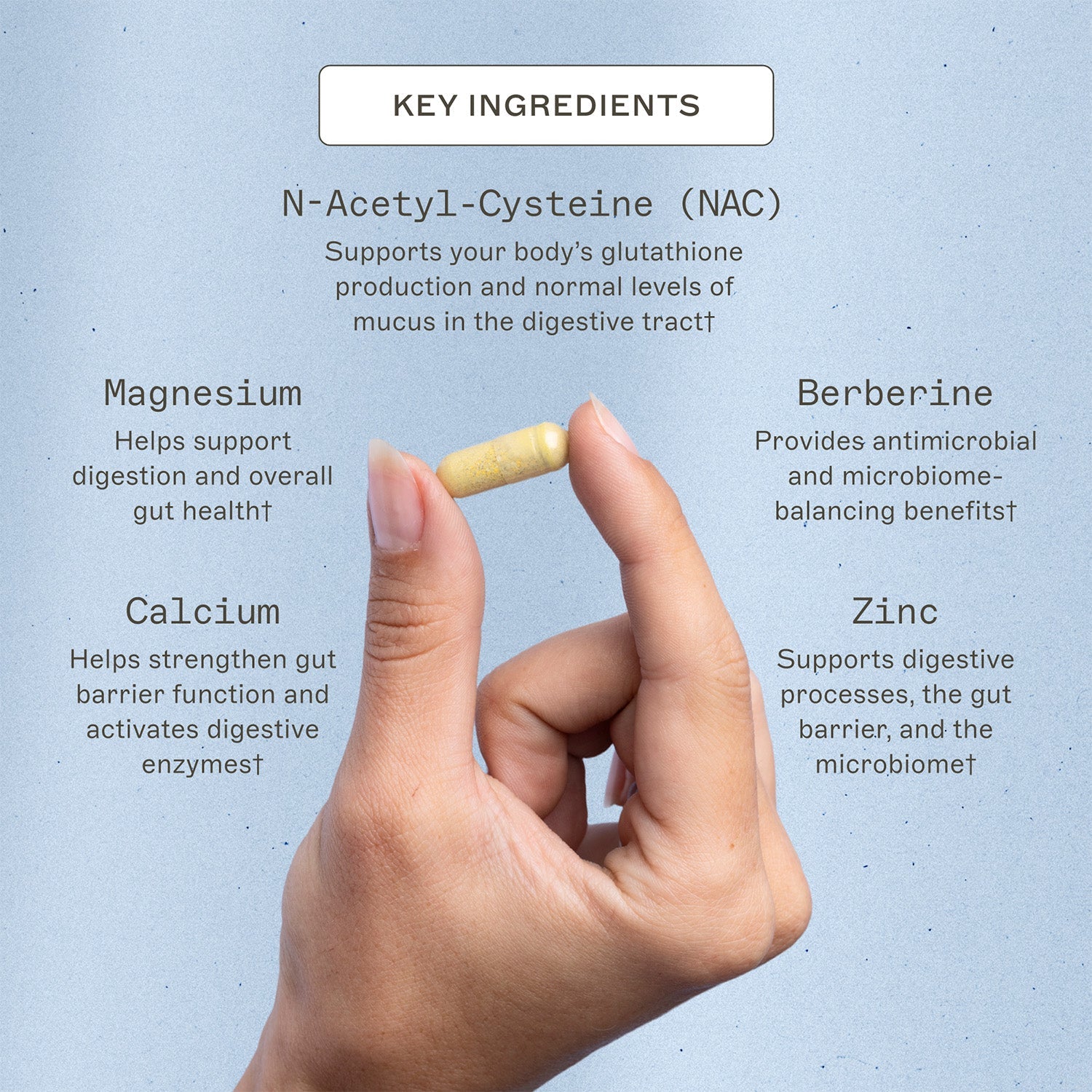 Microb-Clear® - Microbiome Supplement by Amy Myers MD