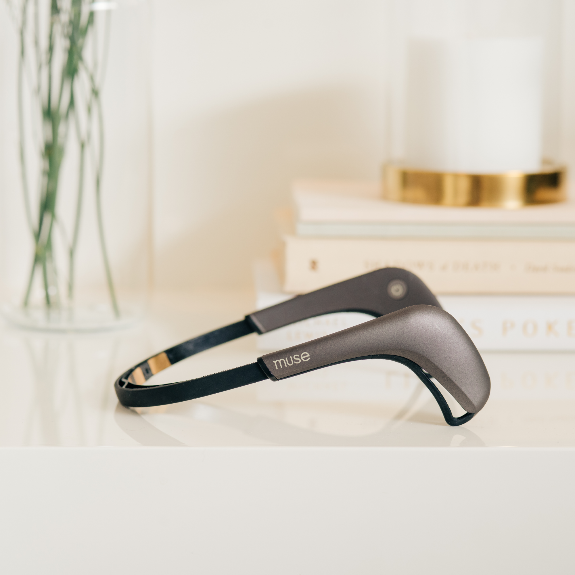 Muse 2 Premium Subscription Bundle