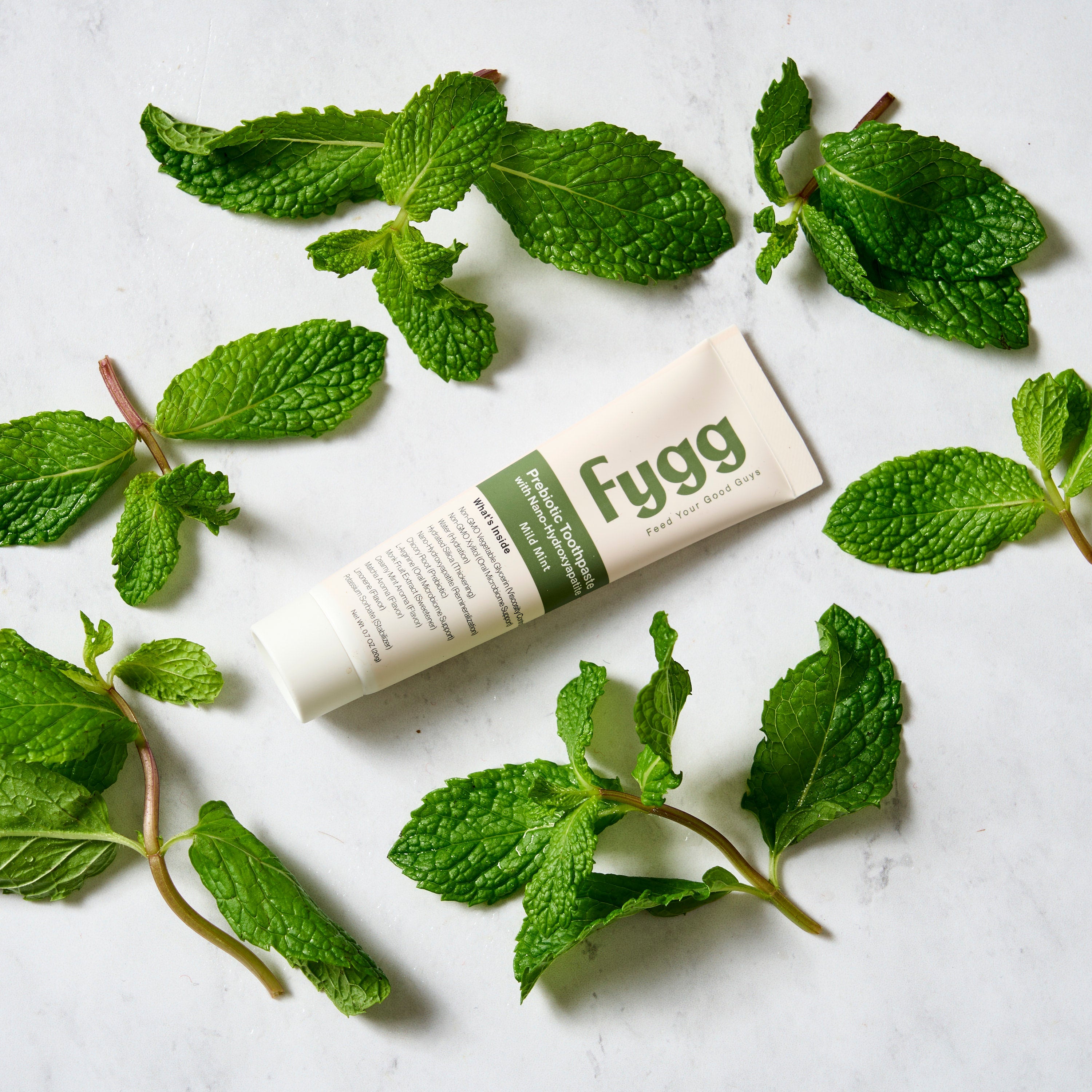 Travel Size Toothpaste | Mild Mint