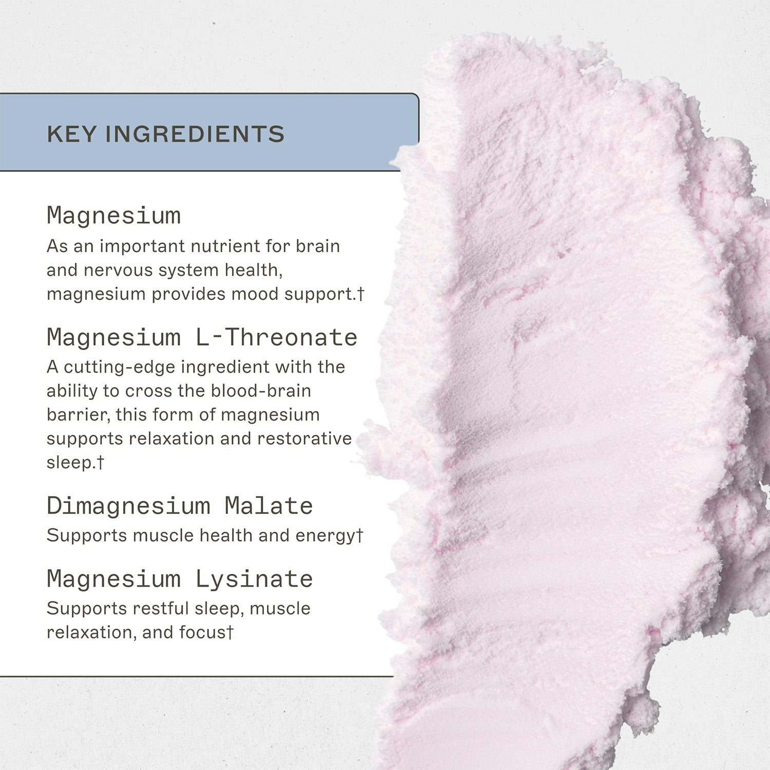 NeuroCalm Mag by Amy Myers MD