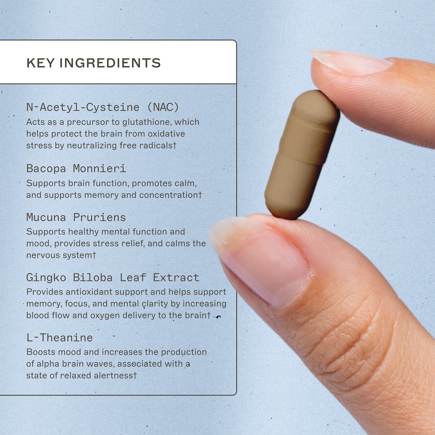 NeuroLive by Amy Myers MD