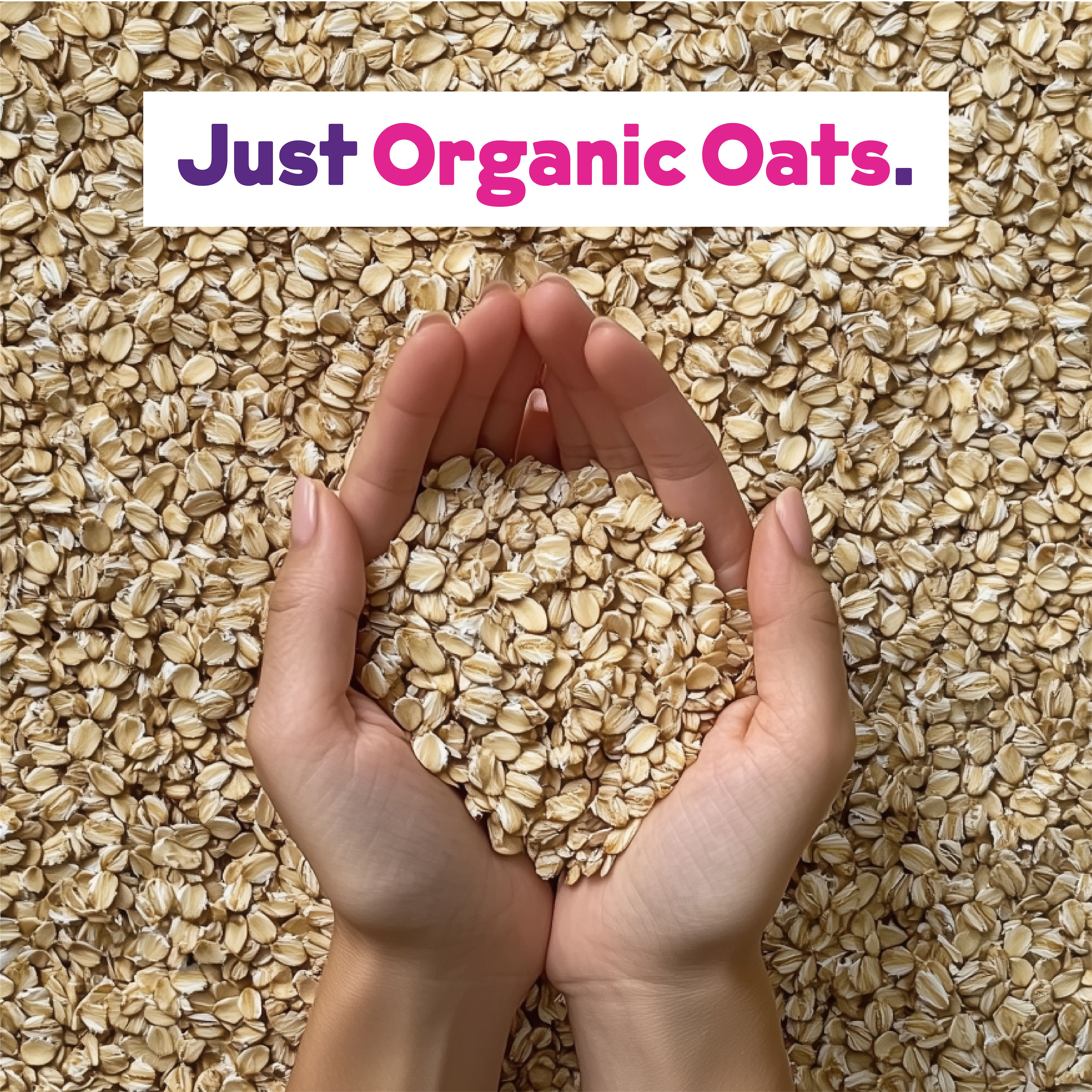 Organic Oat Milk Powder by JOI