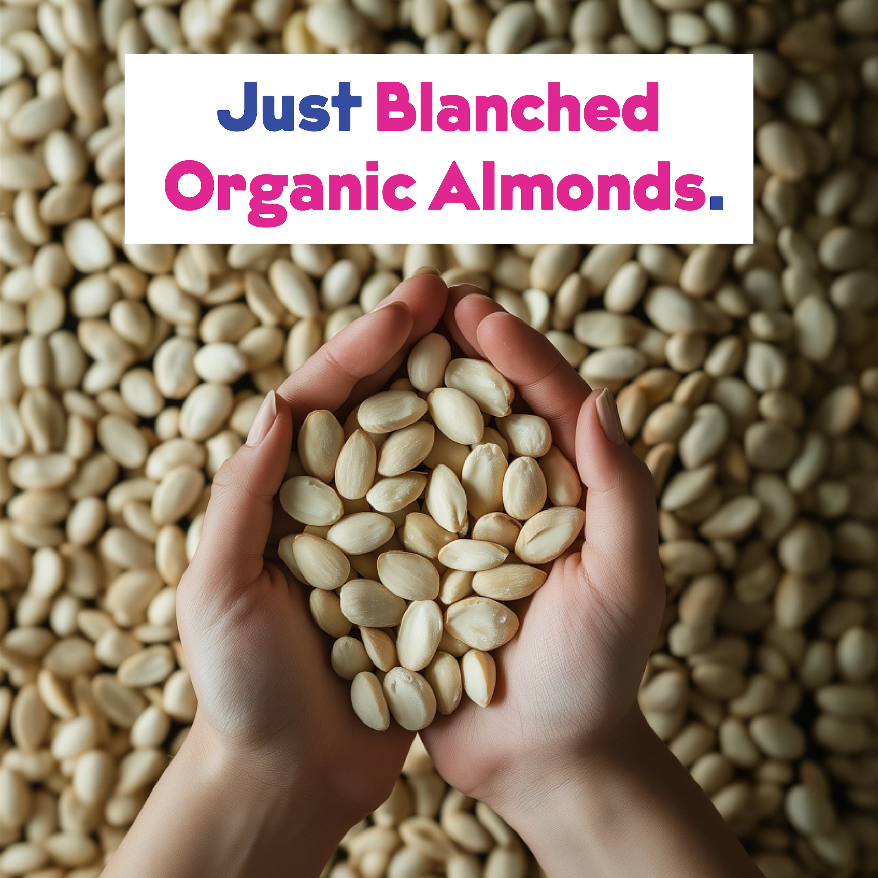 Organic Almond Milk Base 2-Pack by JOI