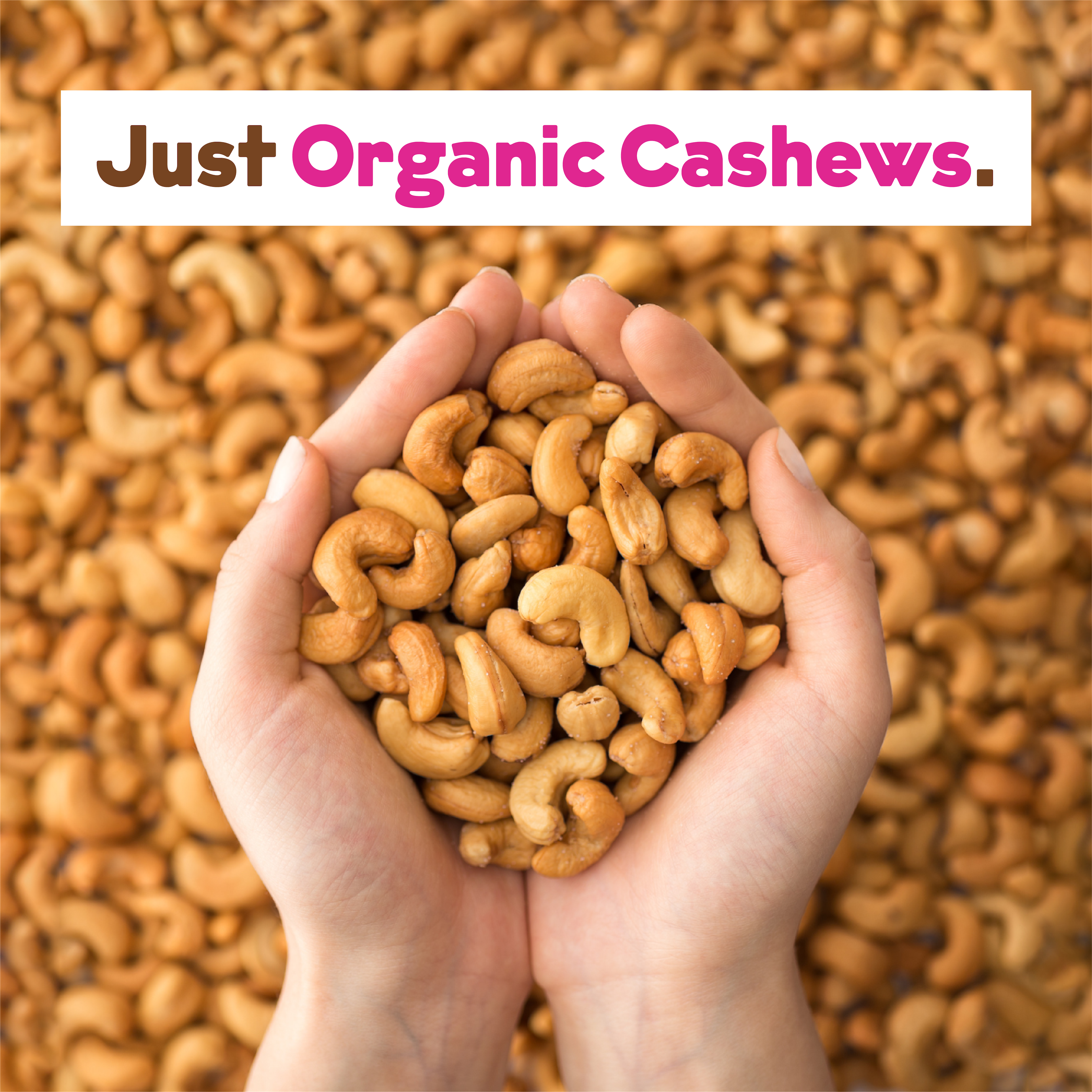 Organic Cashew Milk Base by JOI
