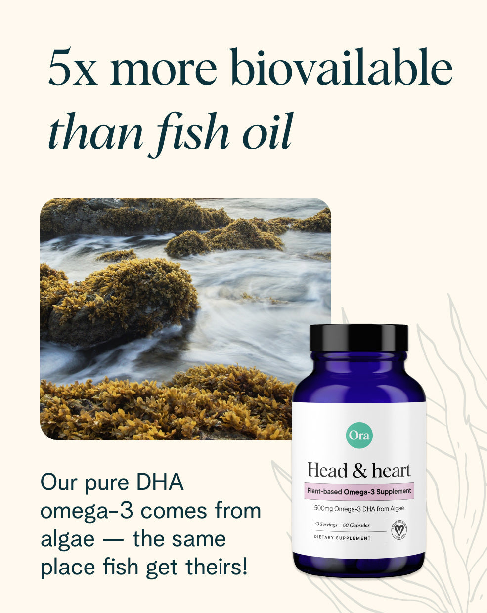 Plant-based DHA Omega-3