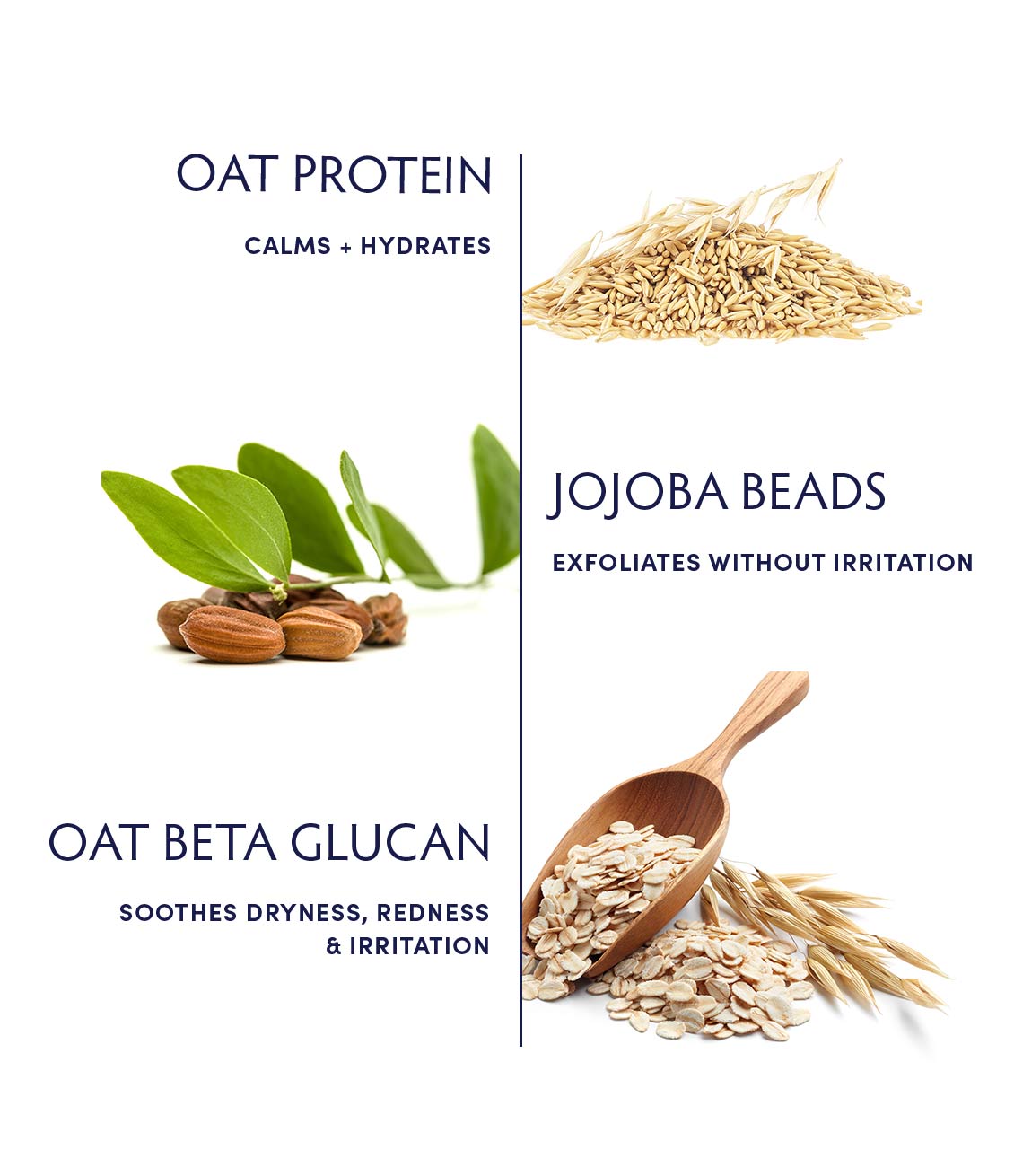 Oat Cleansing Facial Polish by Naturopathica
