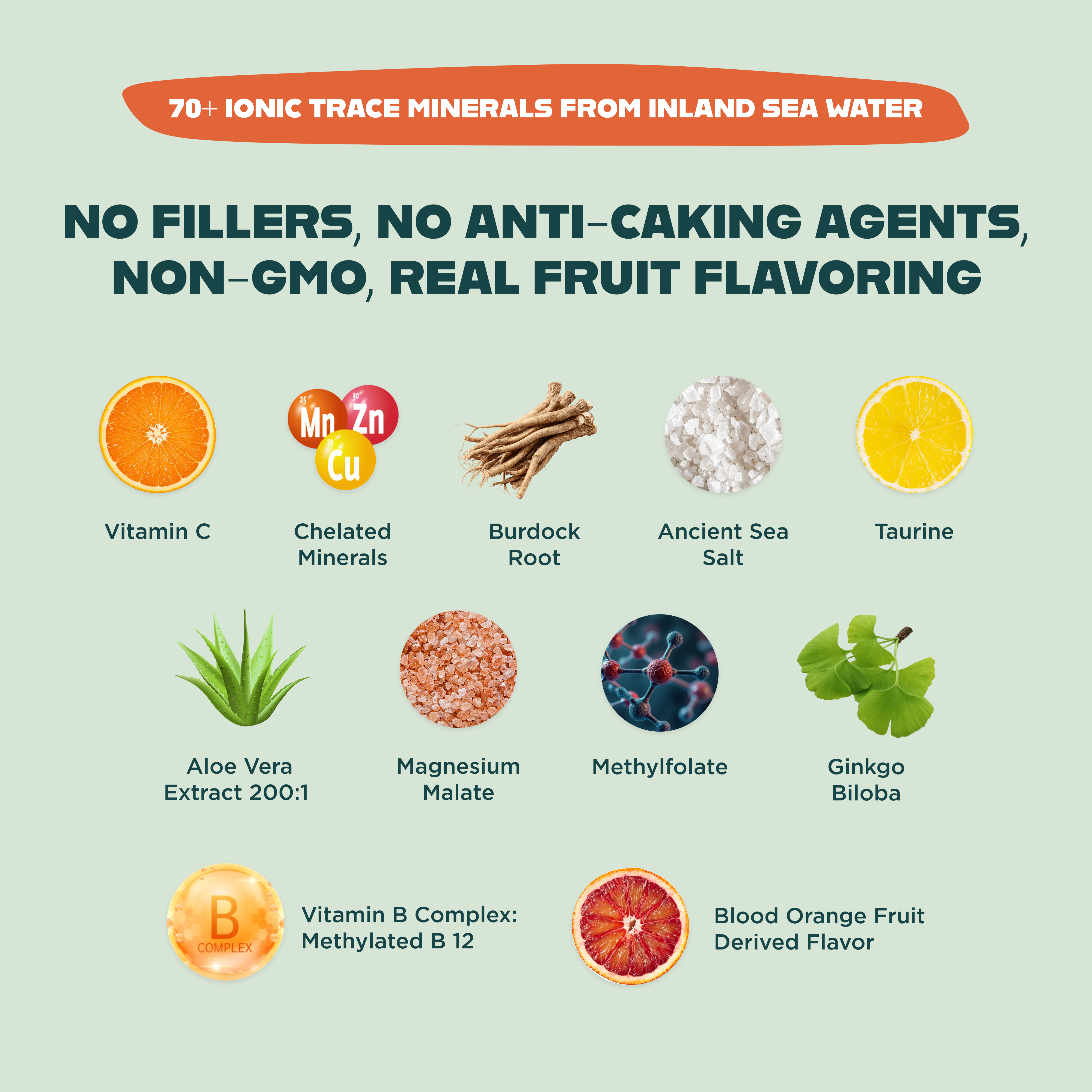 OPTIMIZE MINERALS AND VITAMINZ BUNDLE™️